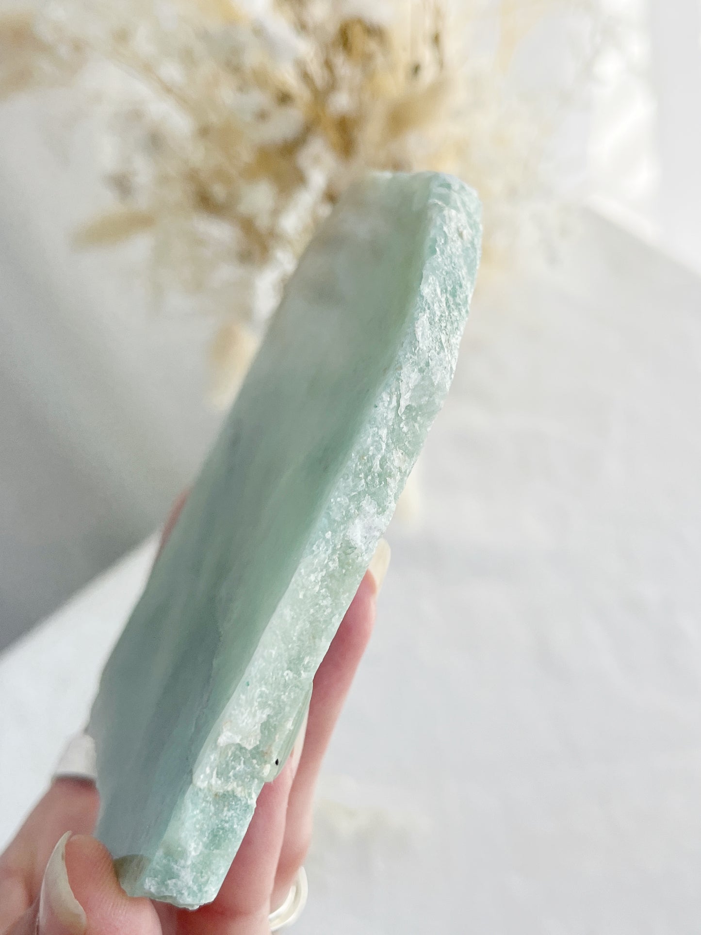 GREEN AVENTURINE SLICE || POLISHED FACE