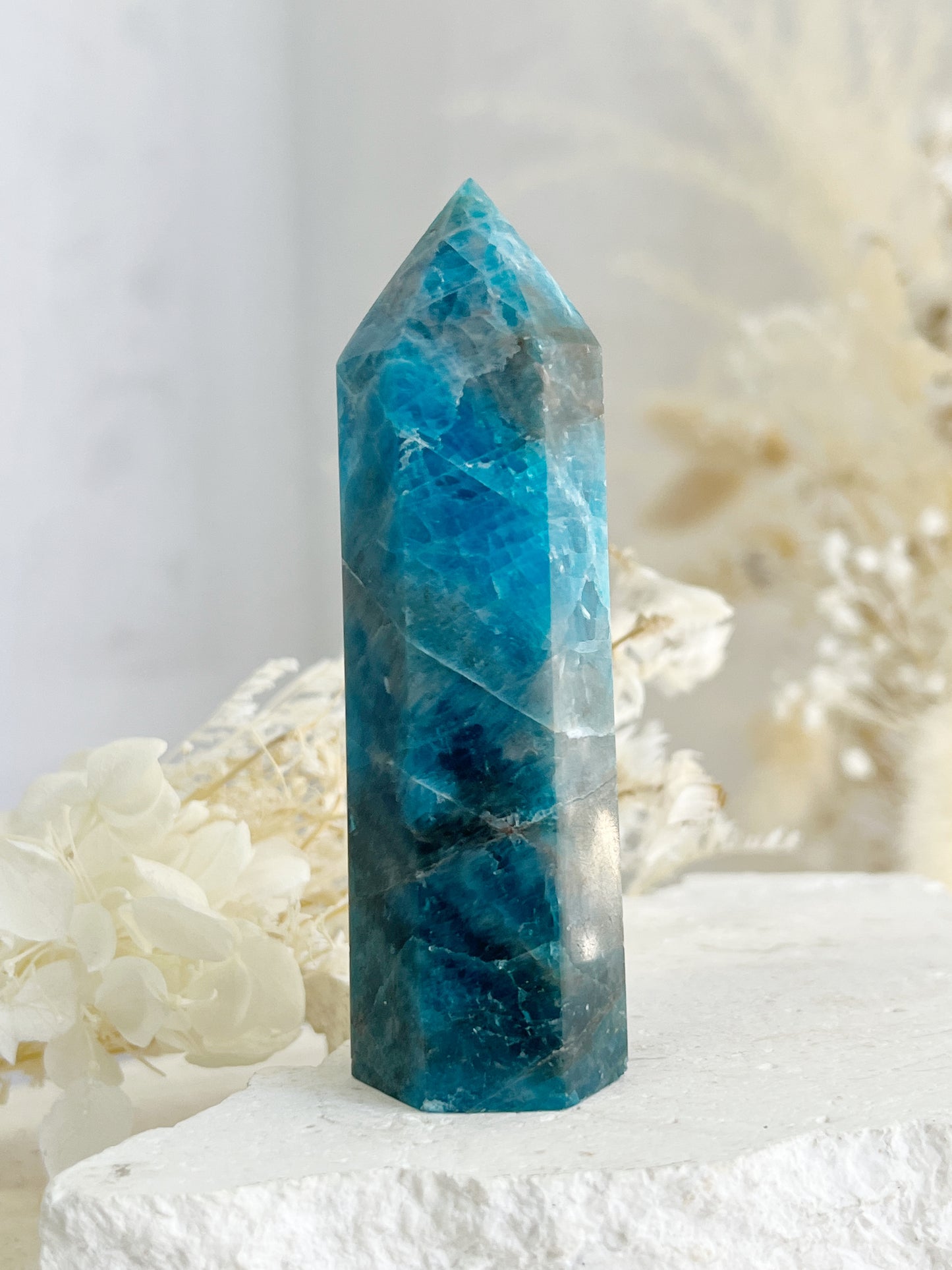 APATITE GENERATOR || 31797