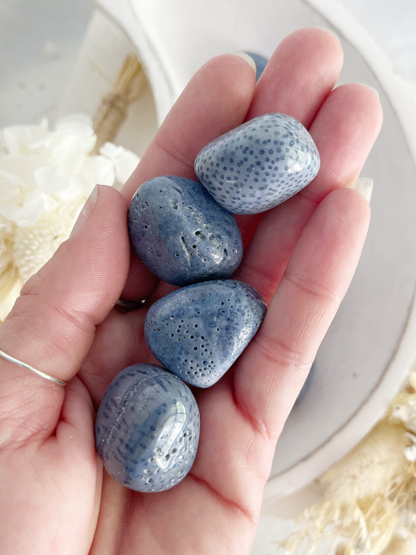 BLUE CORAL TUMBLE