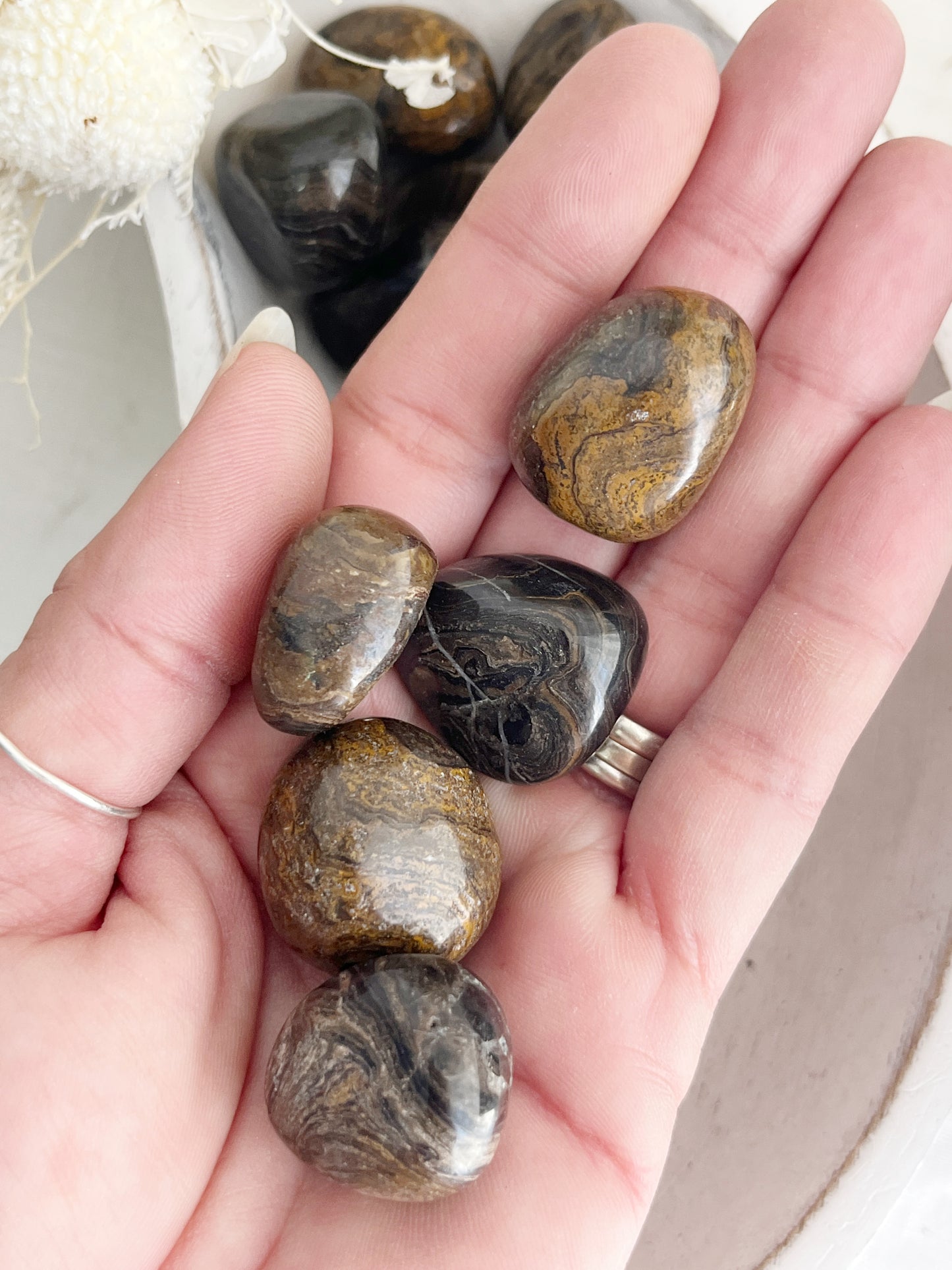 STROMATOLITE TUMBLE