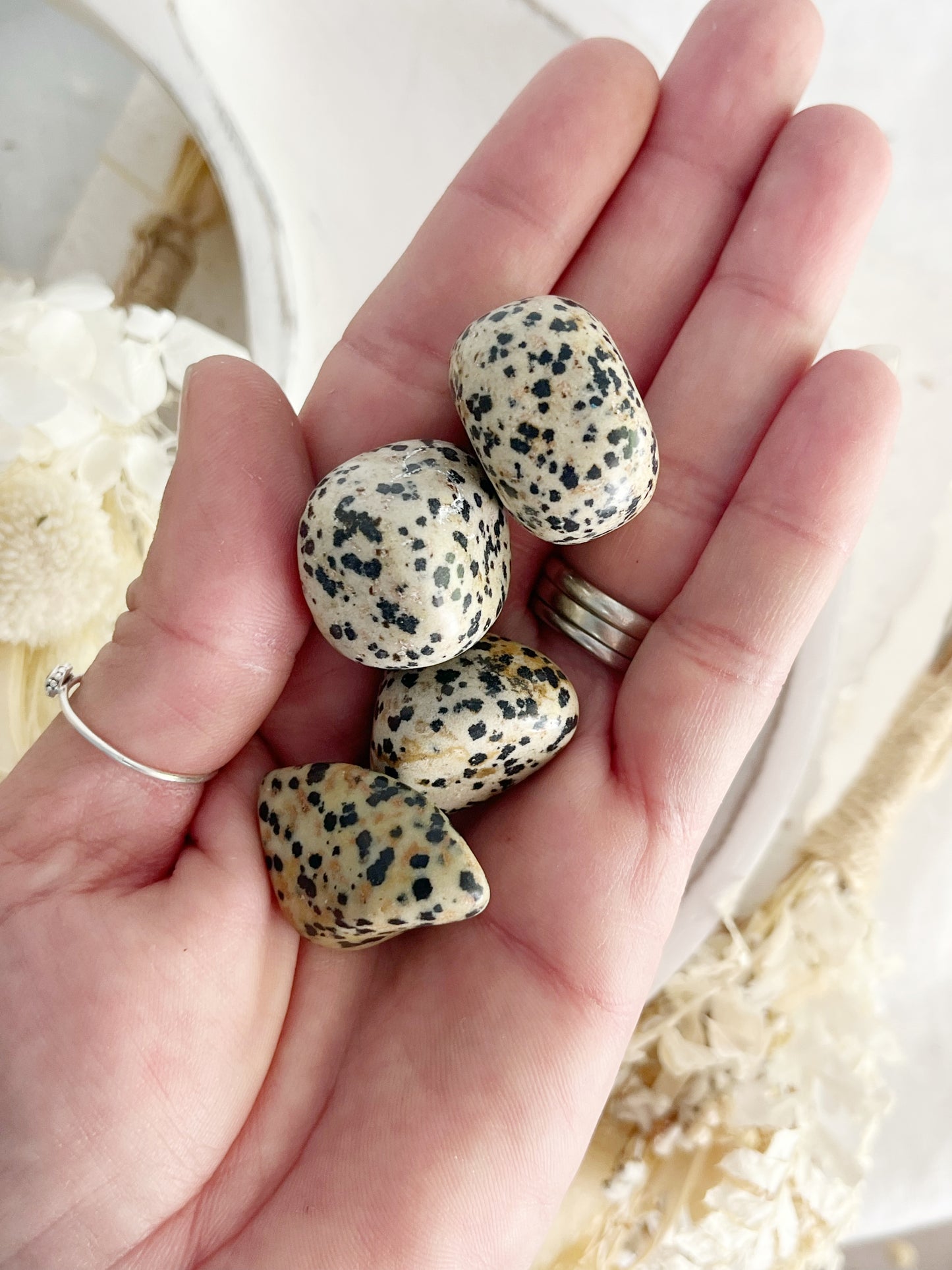 DALMATIAN JASPER TUMBLE