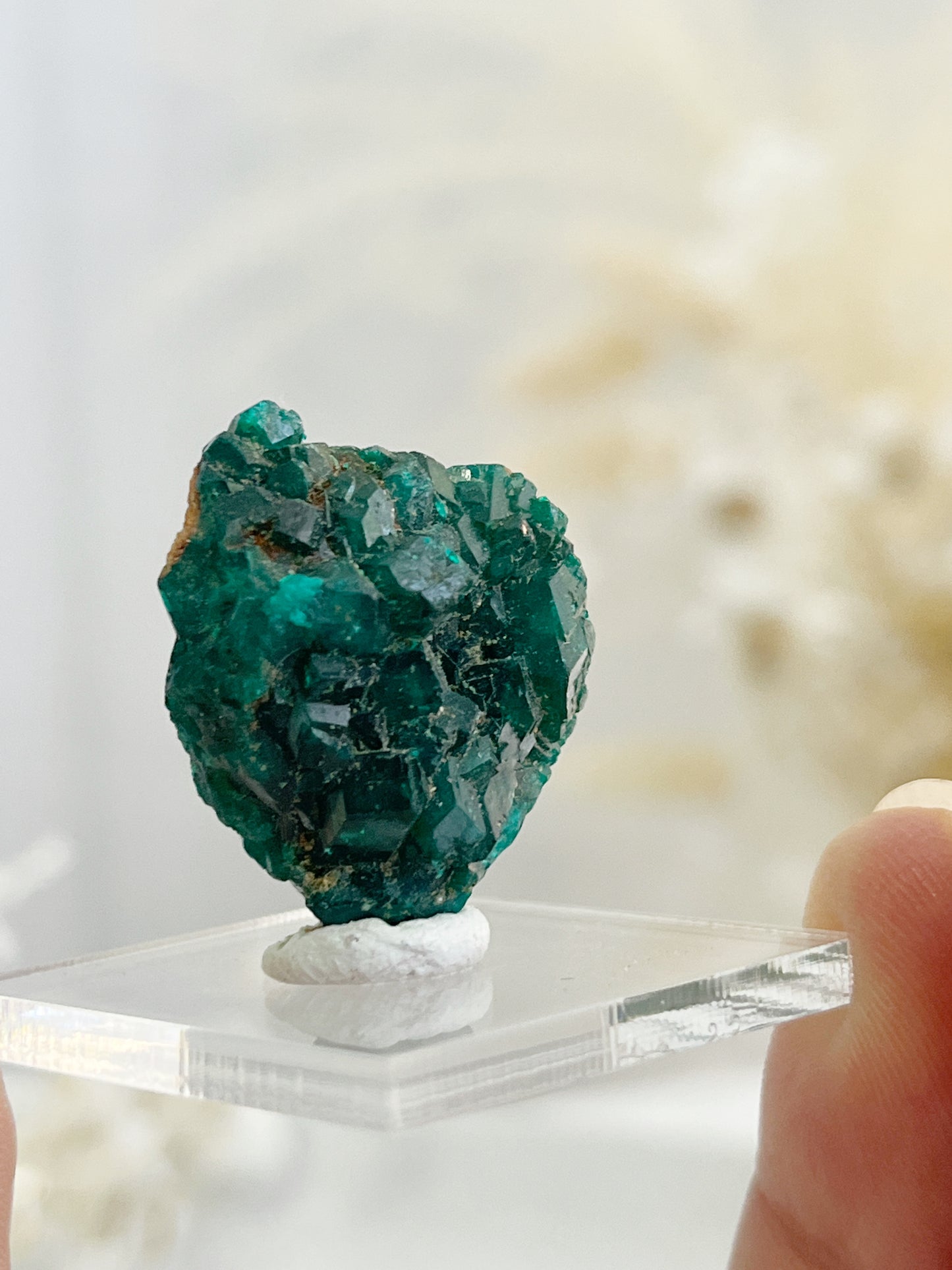 DIOPTASE SPECIMEN, 31598, STONED AND SAGED AUSTRALIA