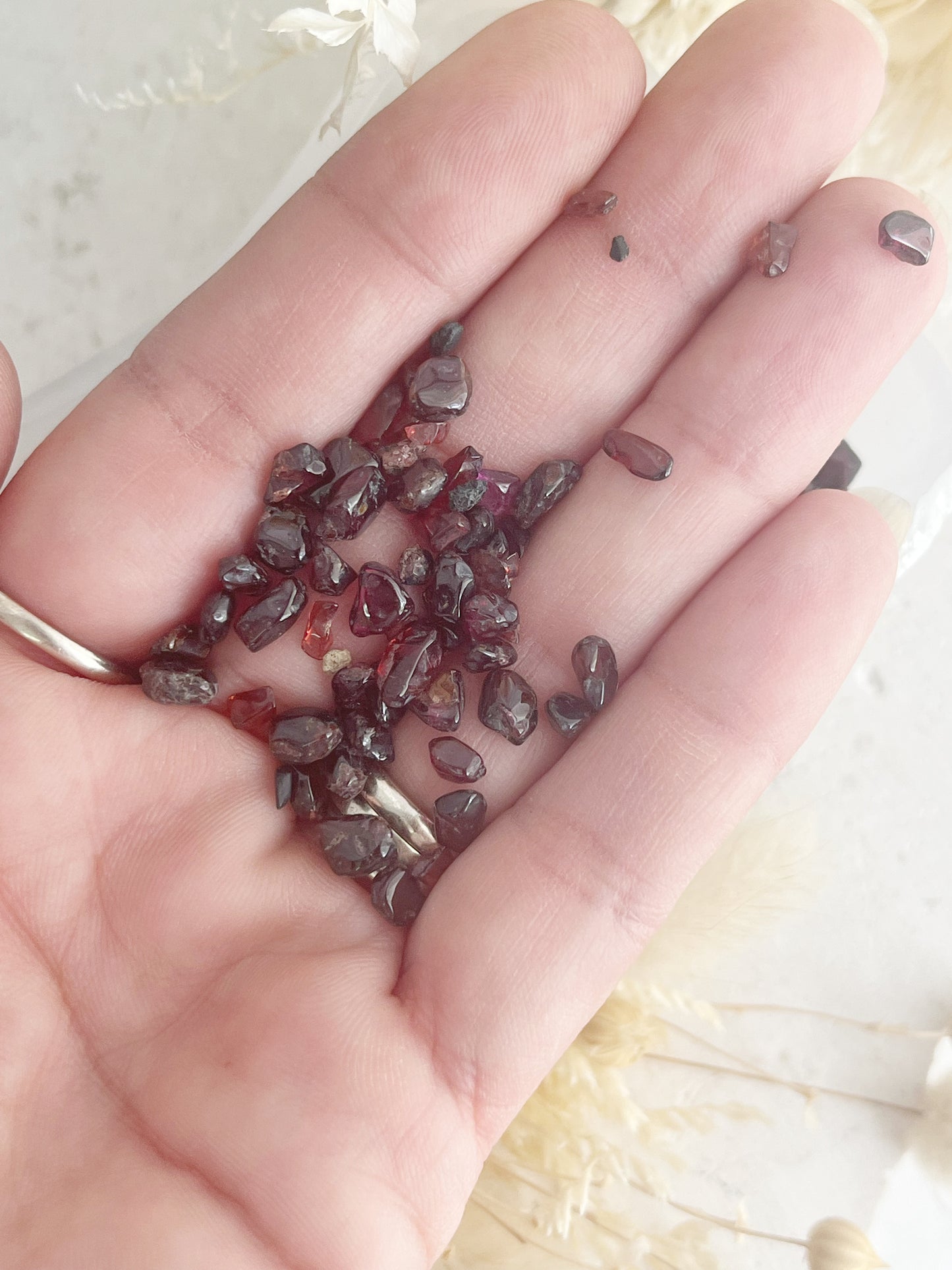 GARNET CHIPS | 100G