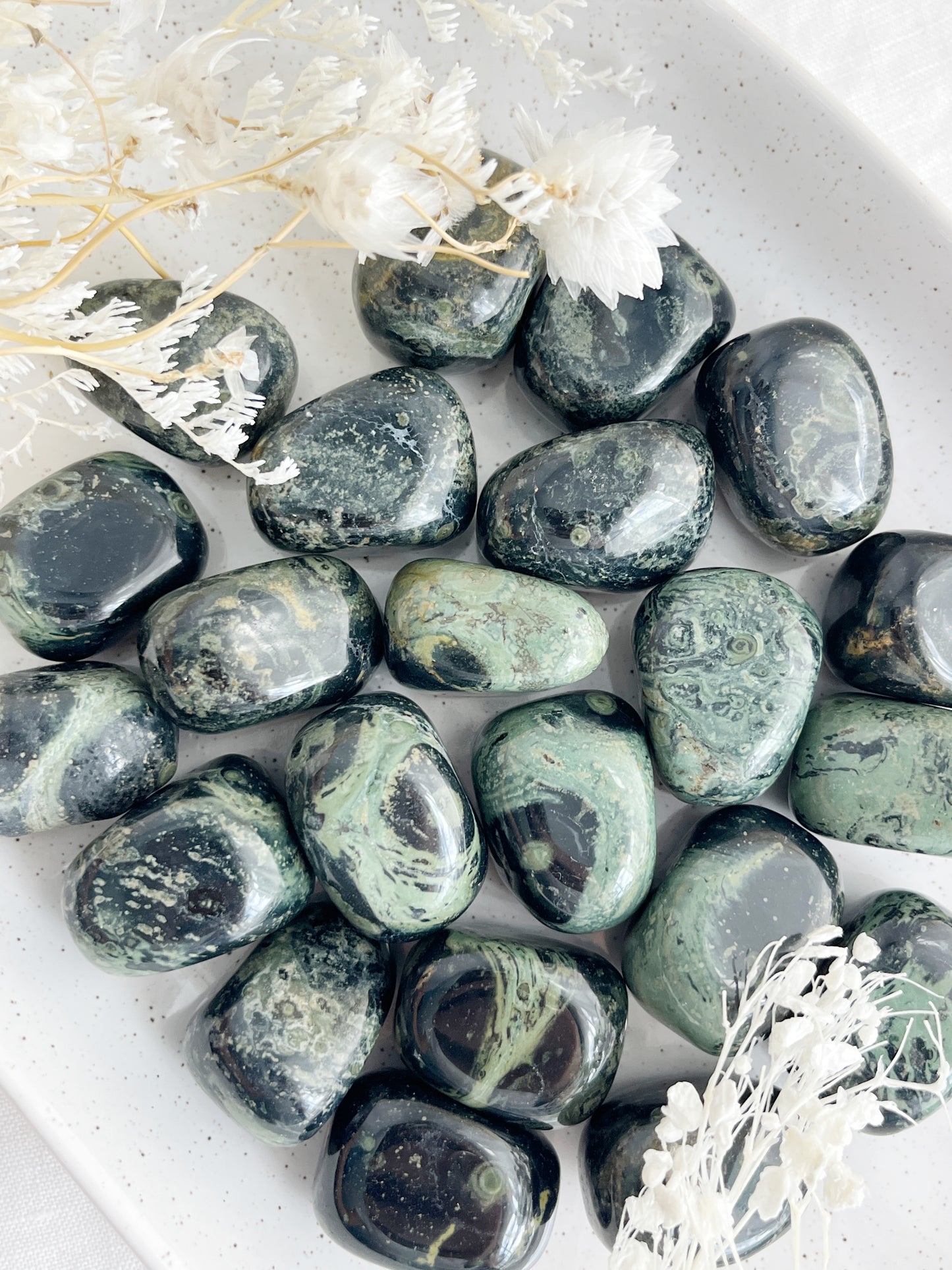 KAMBABA JASPER TUMBLE