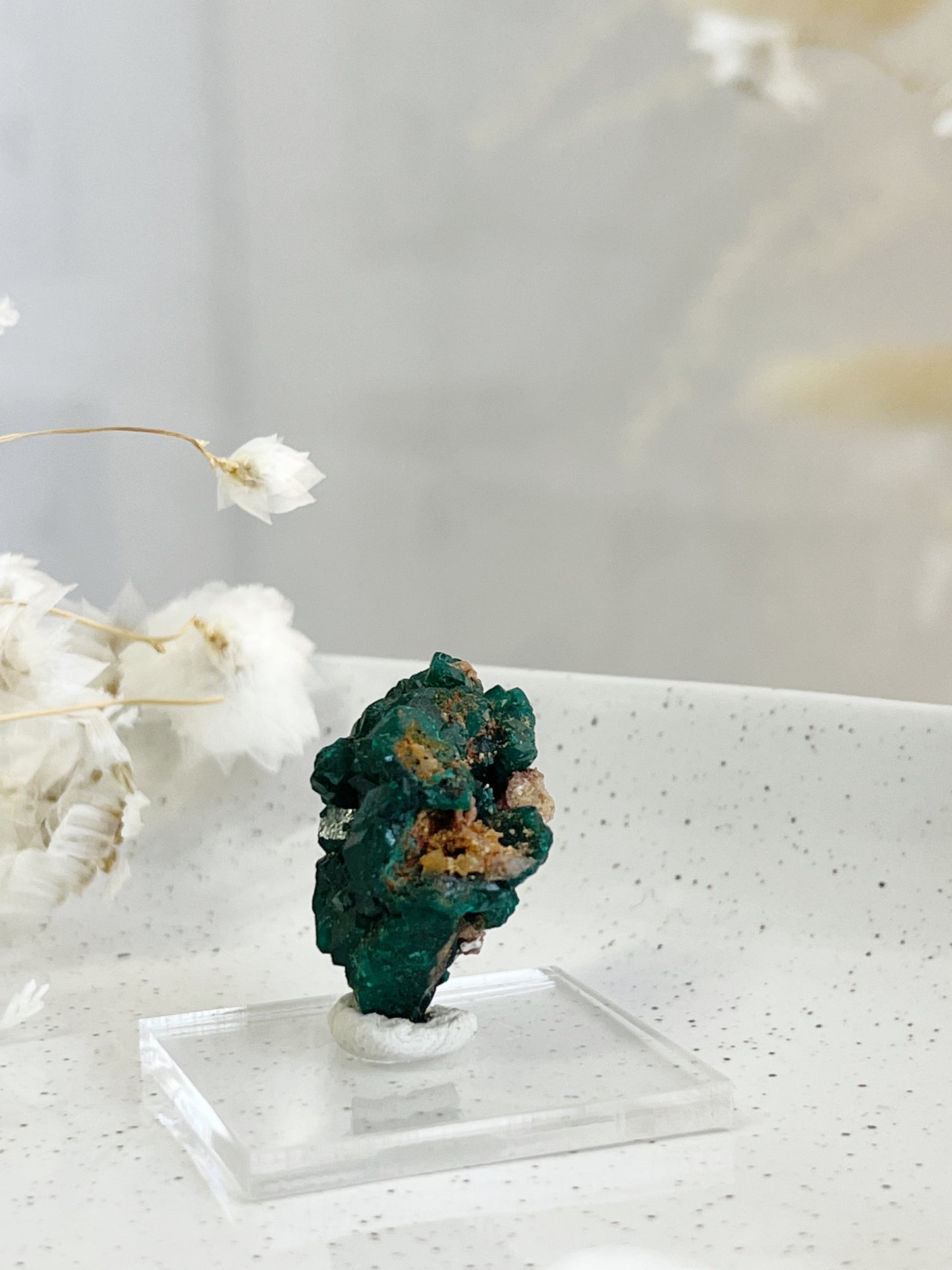 DIOPTASE SPECIMEN || 31598