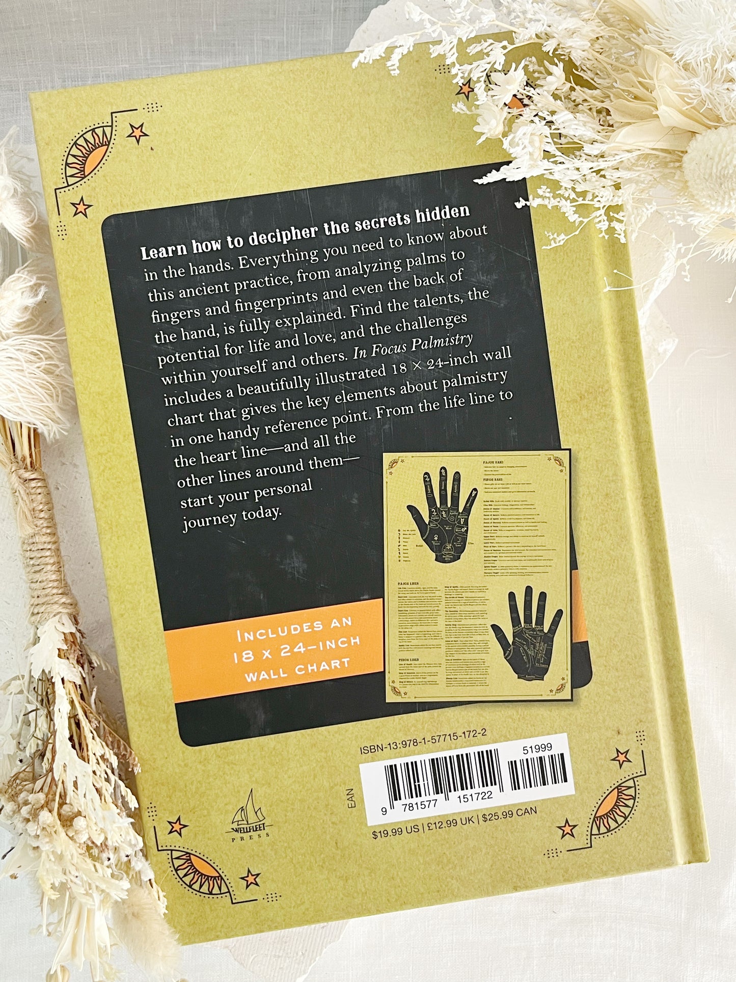 IN FOCUS | PALMISTRY