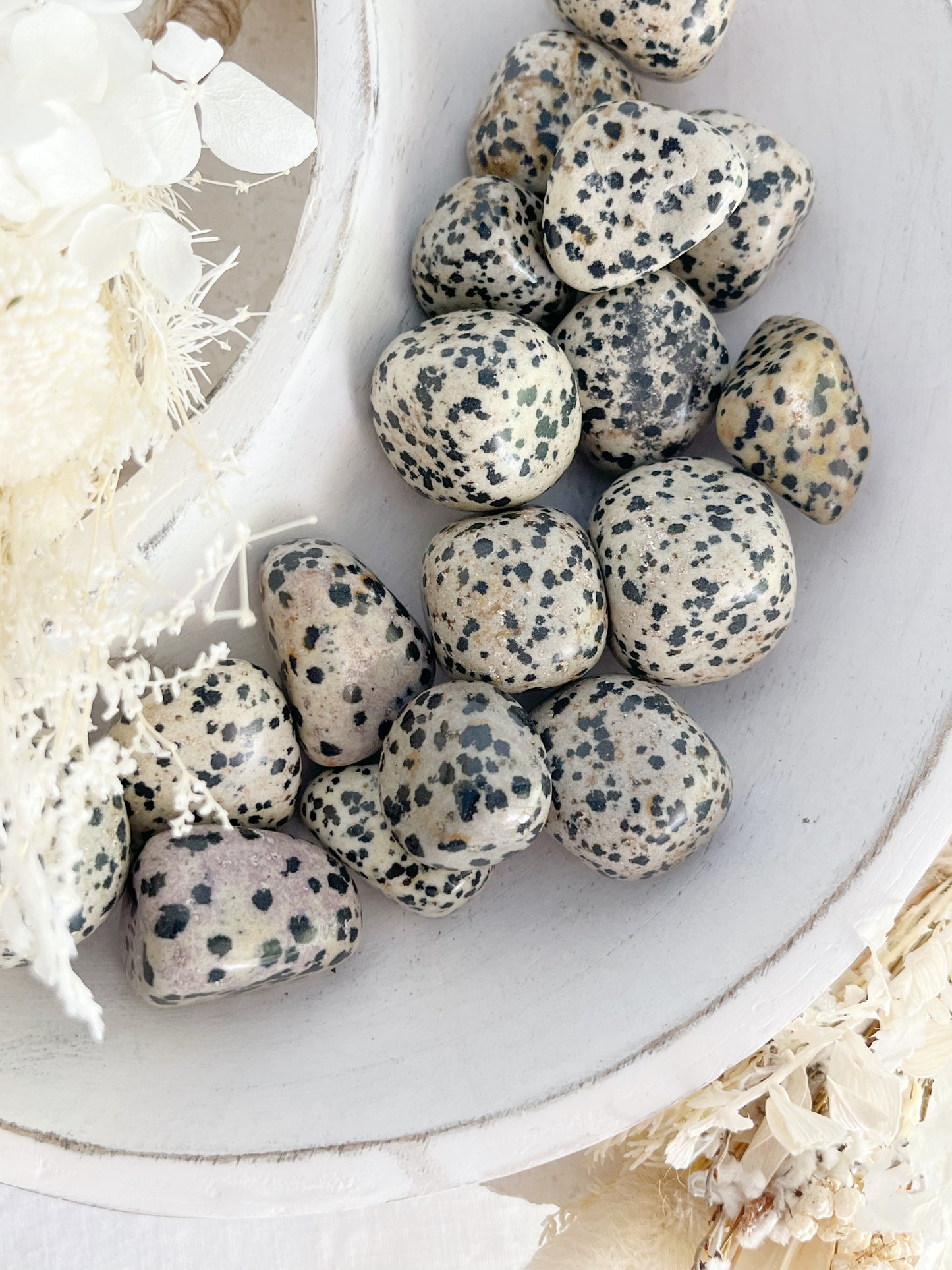 DALMATIAN JASPER TUMBLE