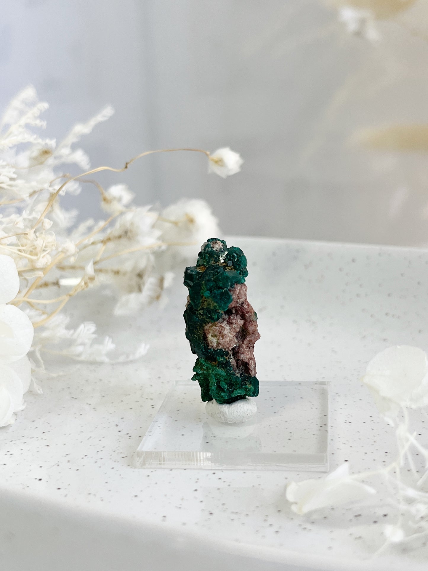 DIOPTASE SPECIMEN || 31594