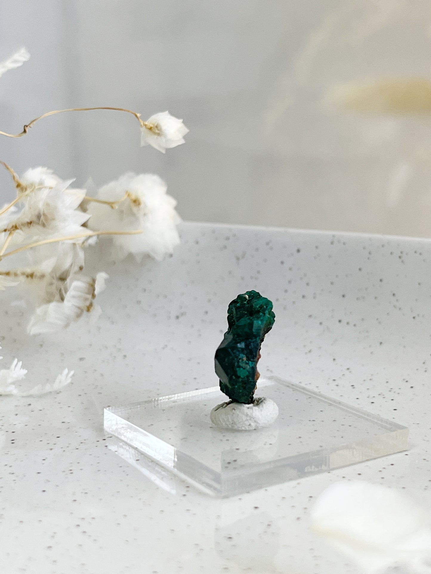 DIOPTASE SPECIMEN || 31595