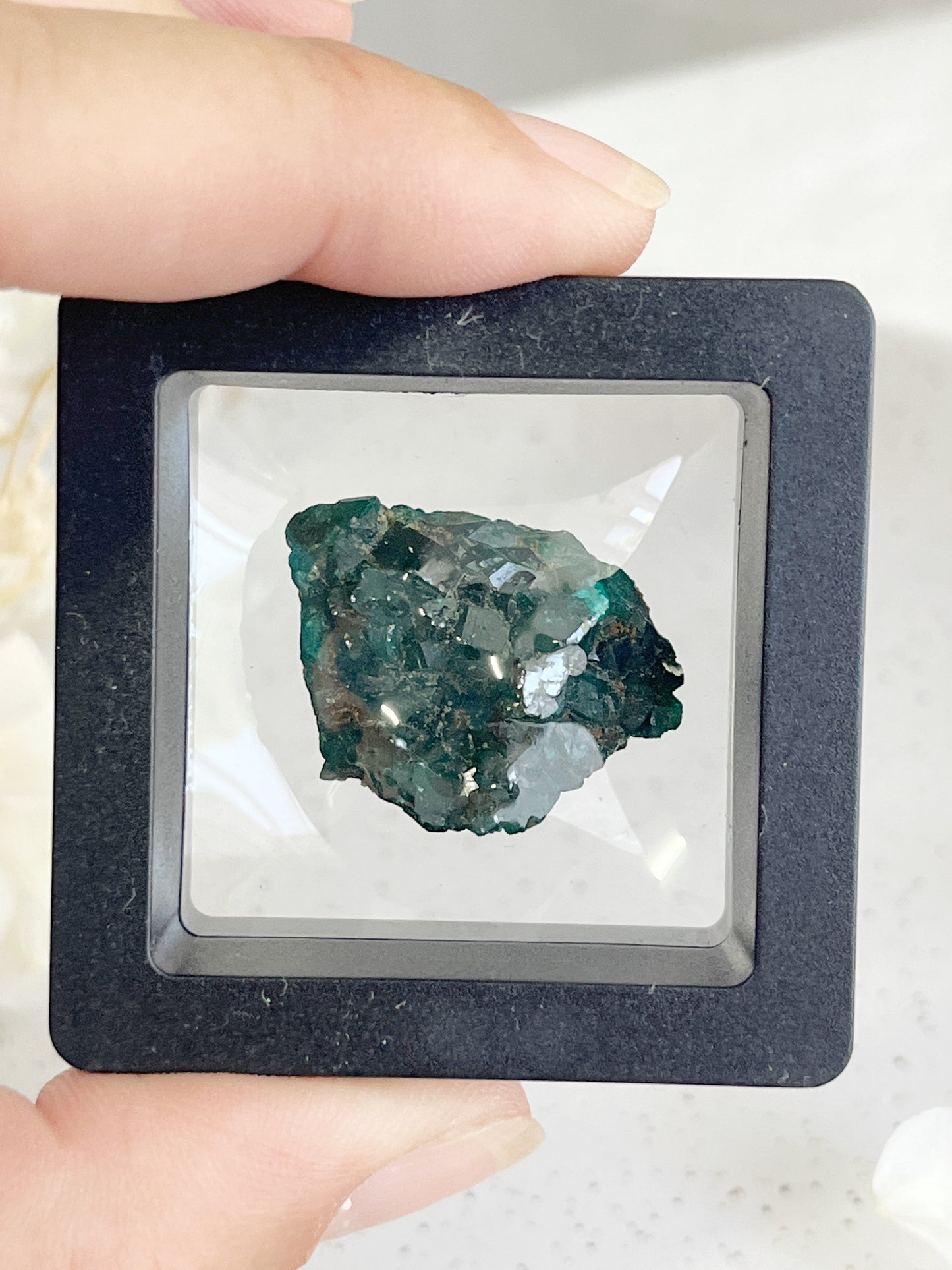 DIOPTASE SPECIMEN || 31598