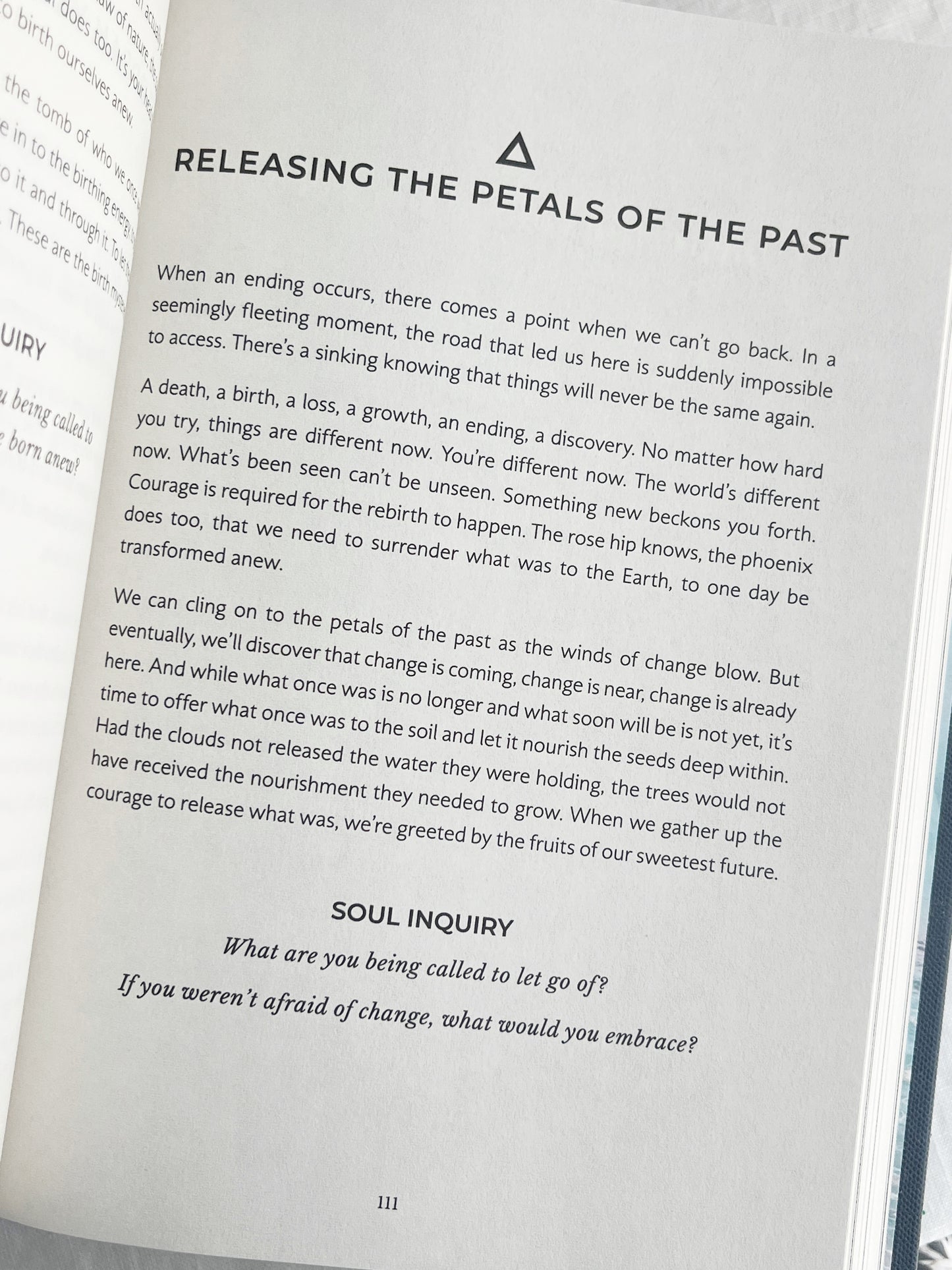 YOUR SOUL HAD A DREAM YOUR LIFE IS IT || REBECCA CAMPBELL
