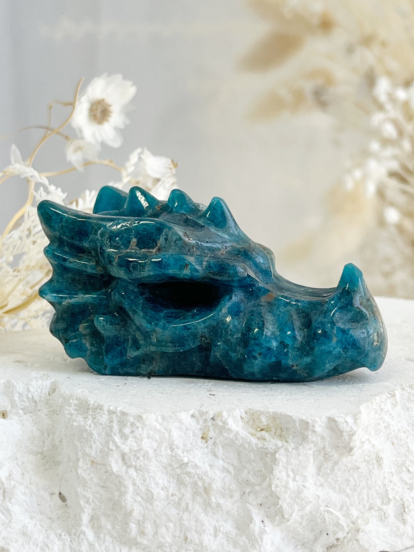 APATITE DRAGON HEAD || 31796