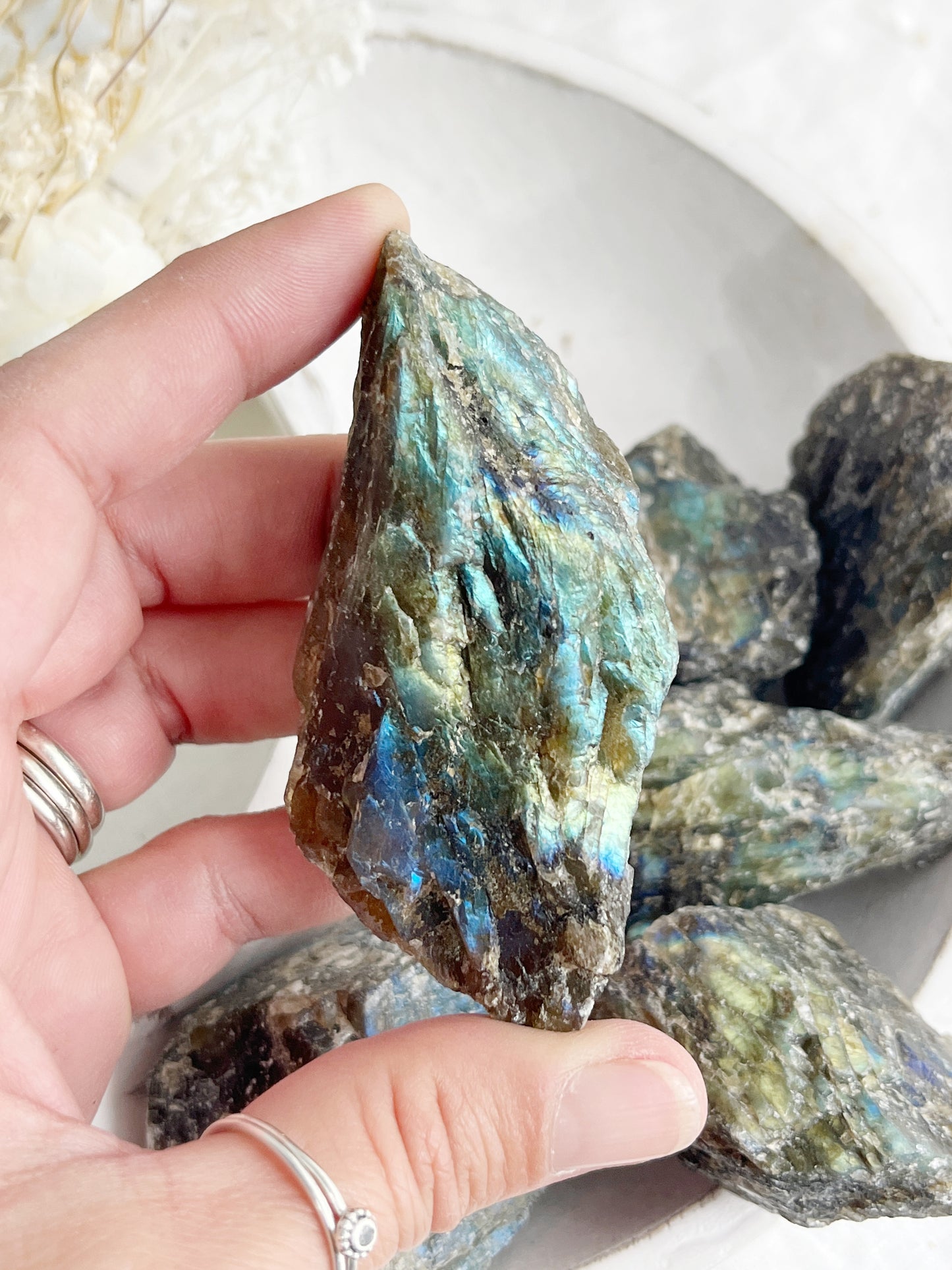 LABRADORITE ROUGH || INTUITIVELY CHOSEN