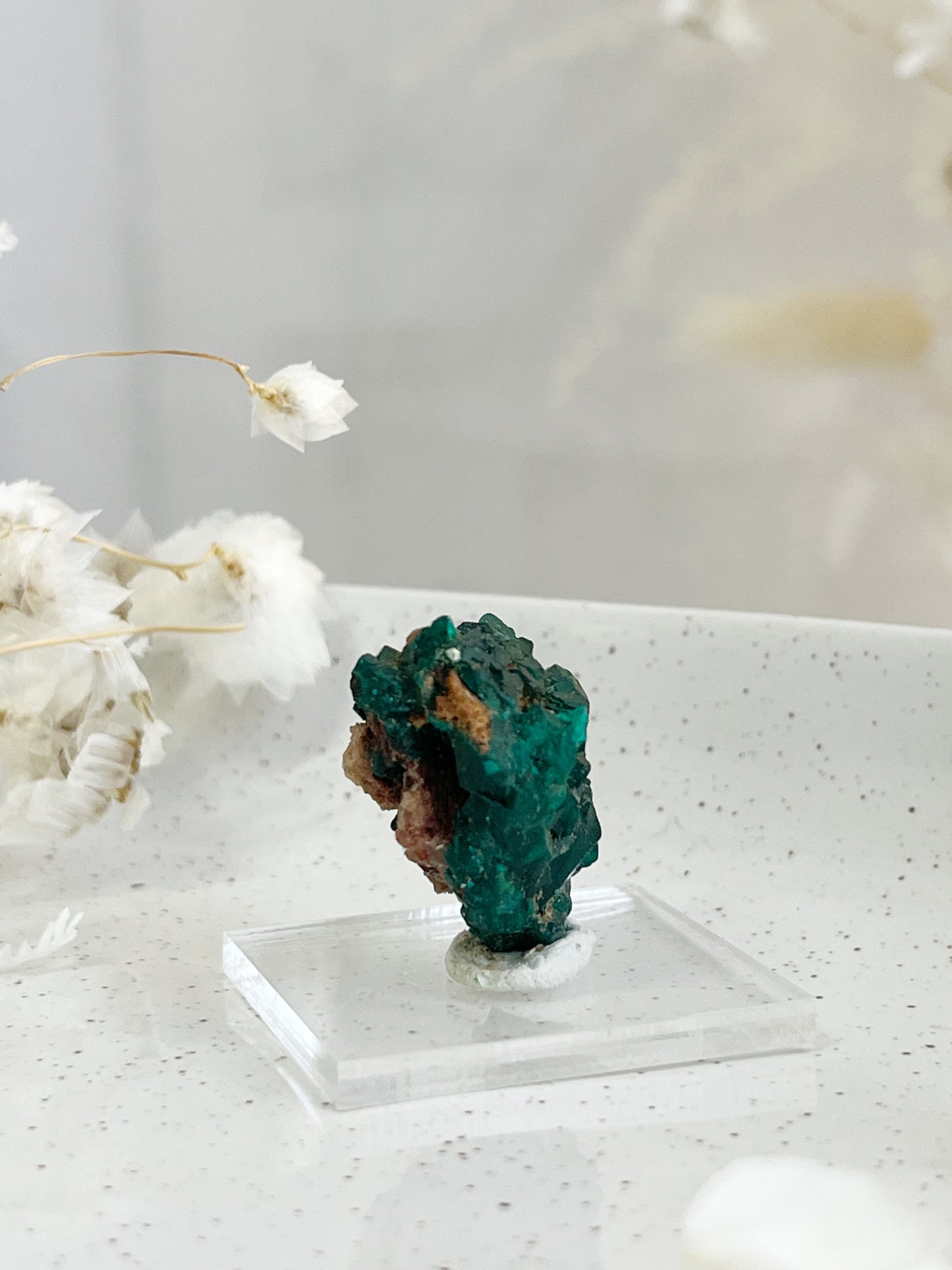 DIOPTASE SPECIMEN || 31598