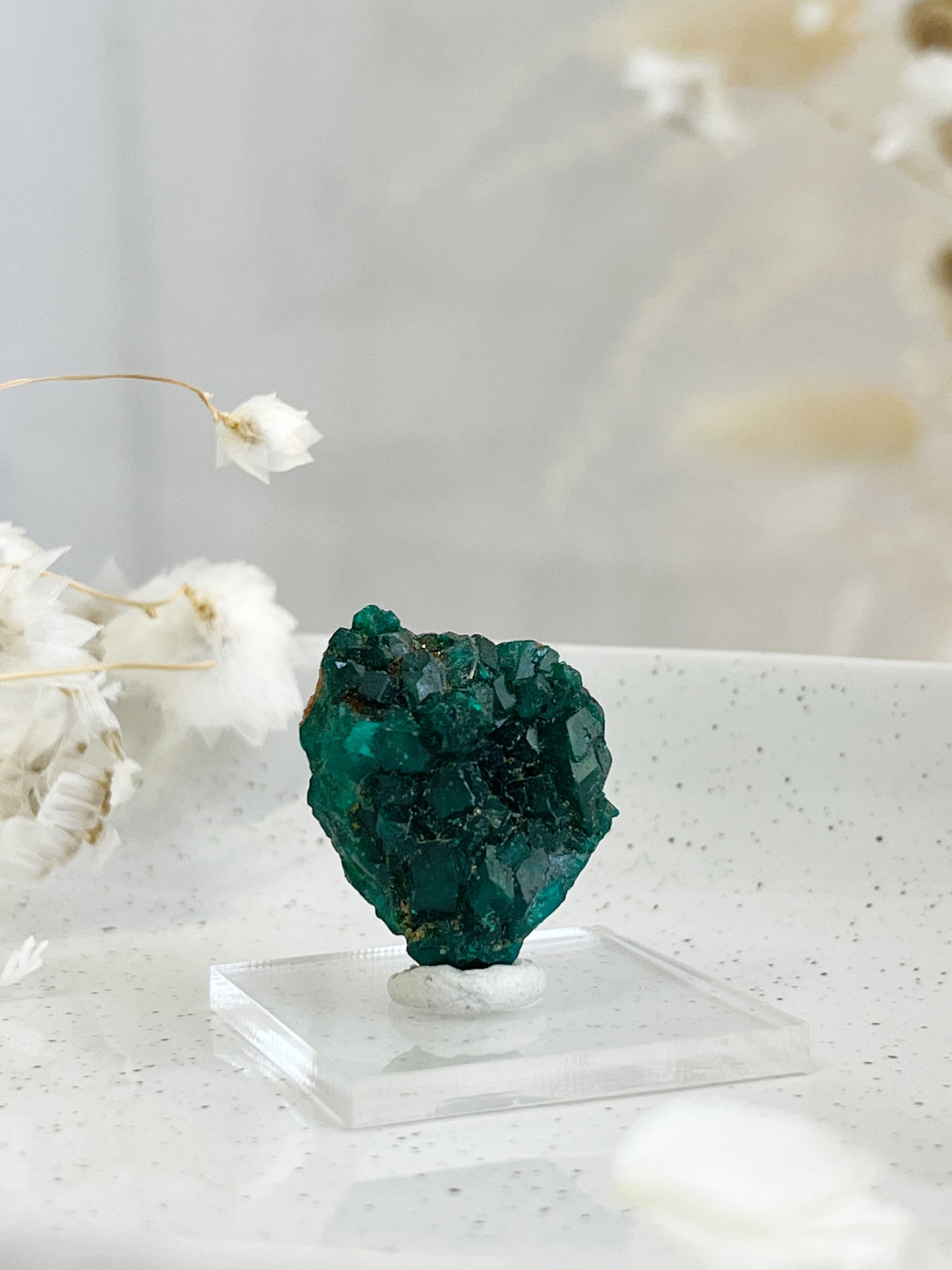 DIOPTASE SPECIMEN, 31598, STONED AND SAGED AUSTRALIA