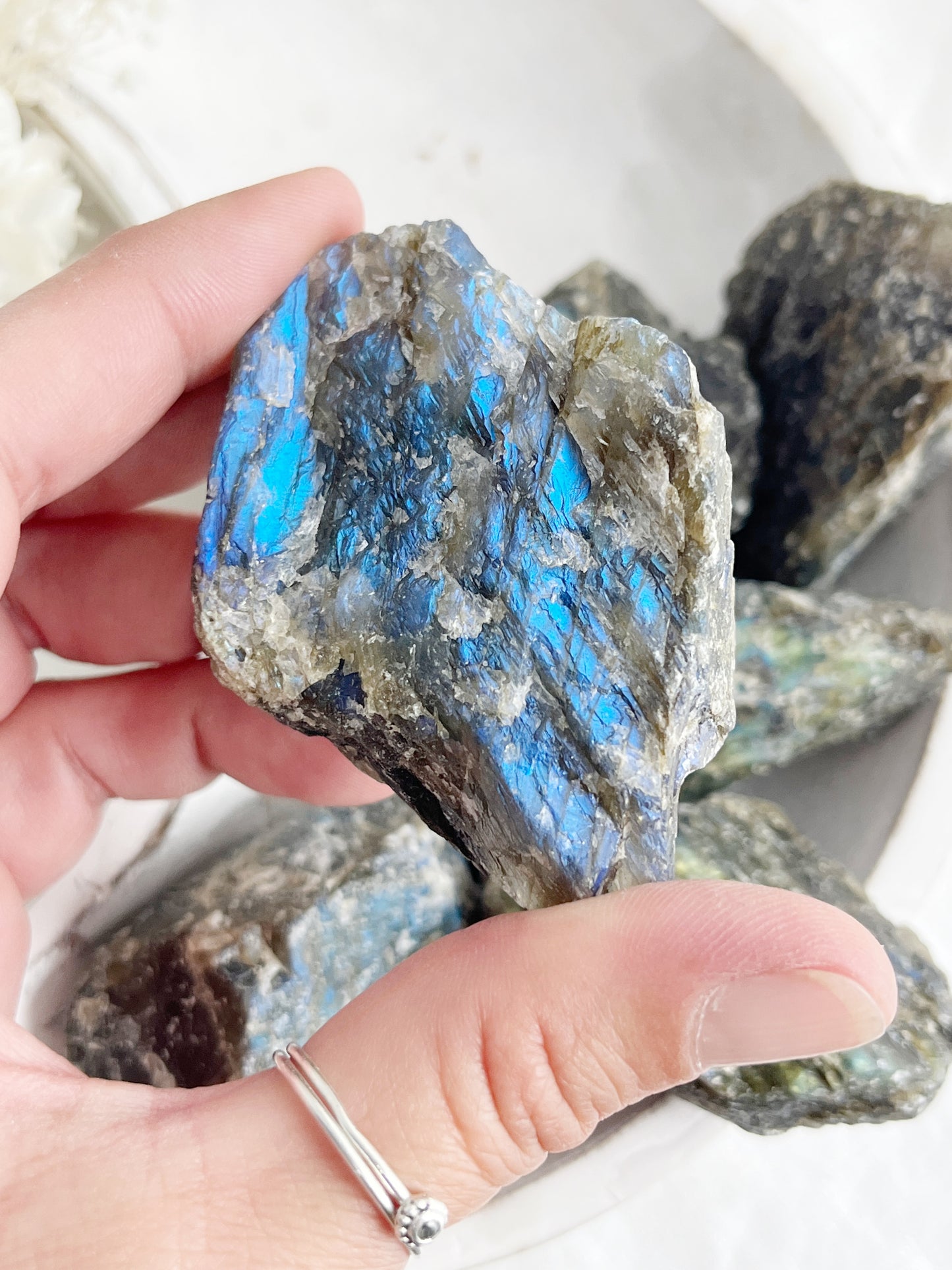 LABRADORITE ROUGH || INTUITIVELY CHOSEN