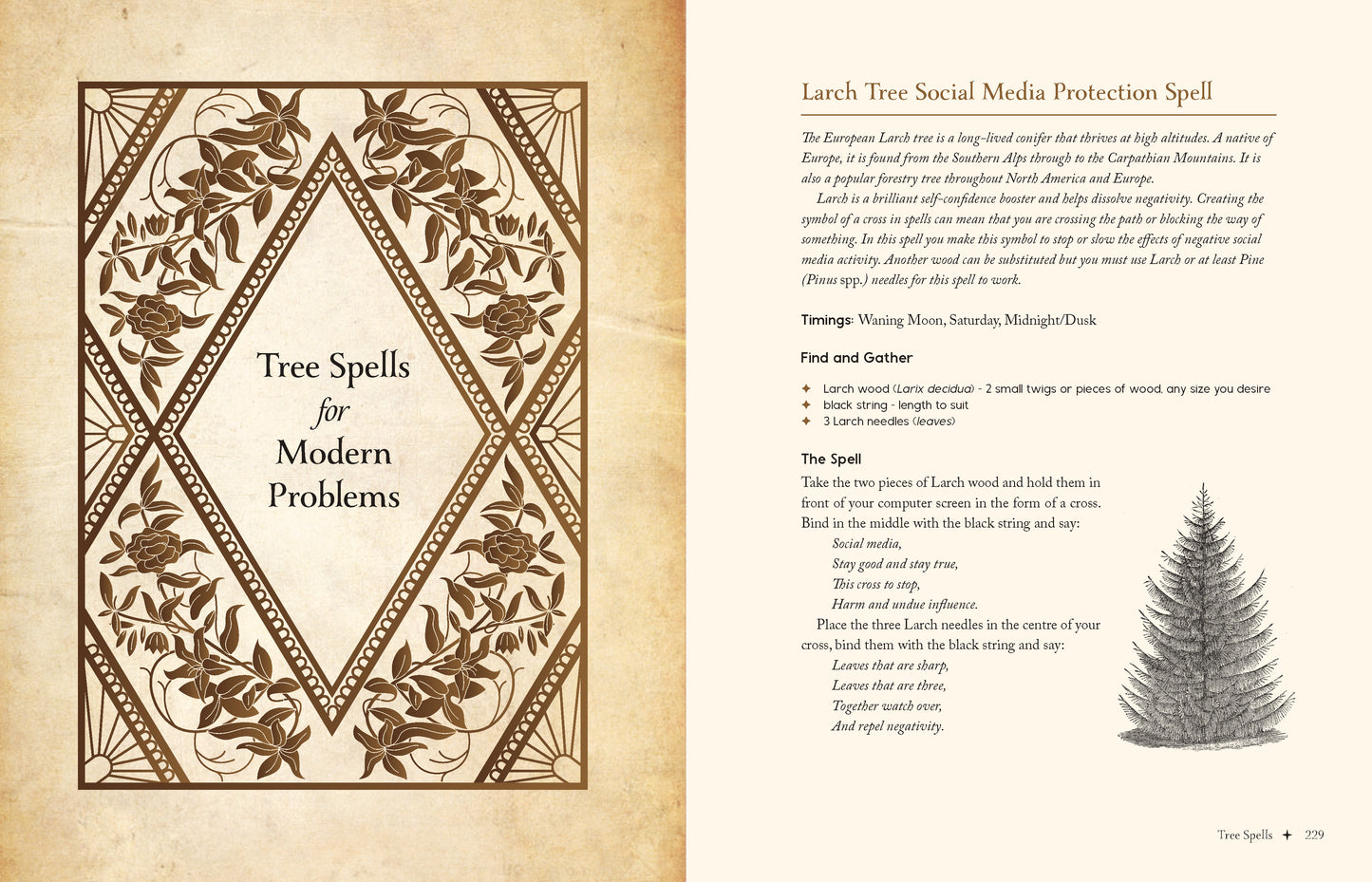 EARTH MAGICK || CHERALYN DARCEY