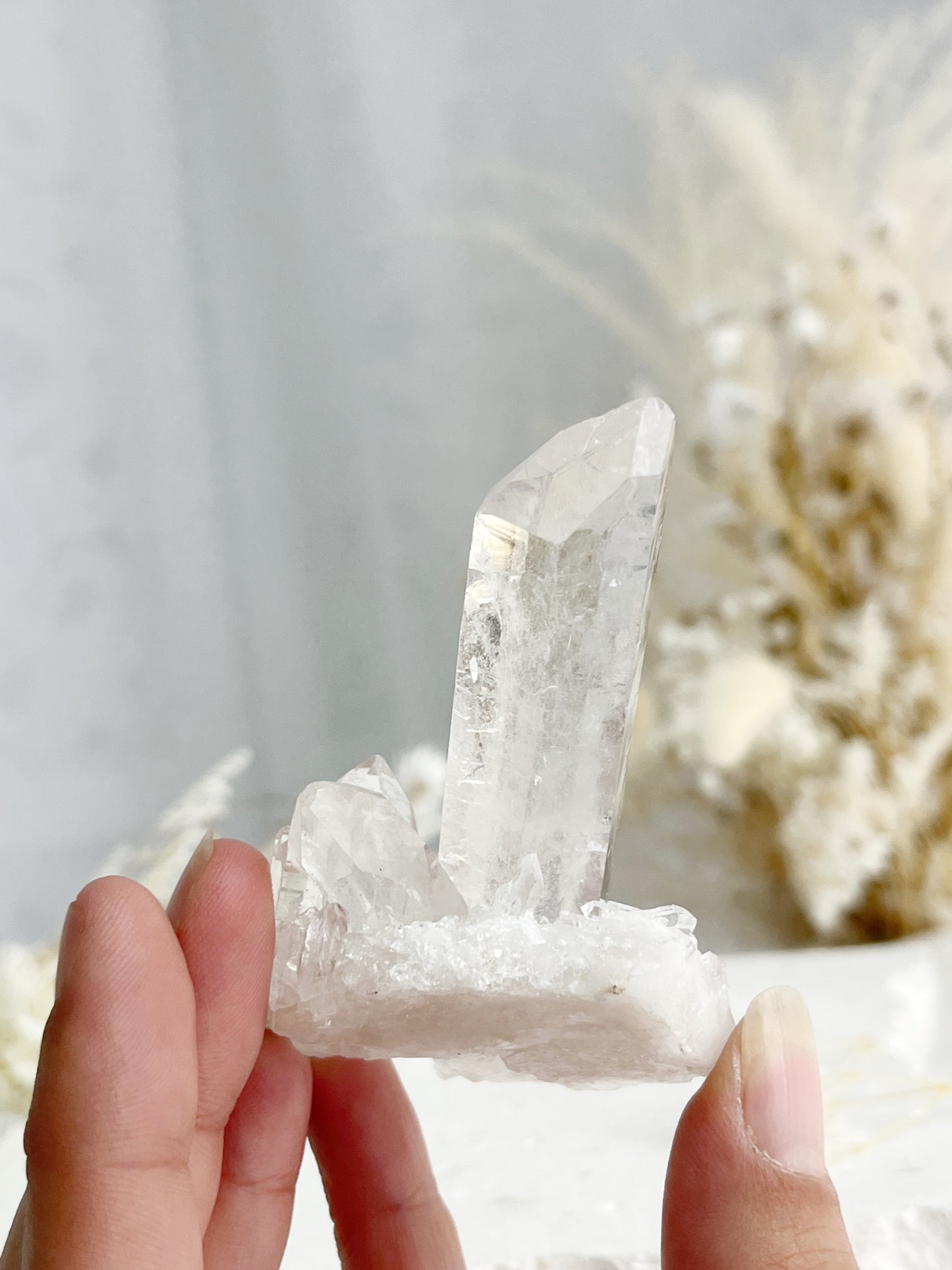 CLEAR QUARTZ CLUSTER || 31716