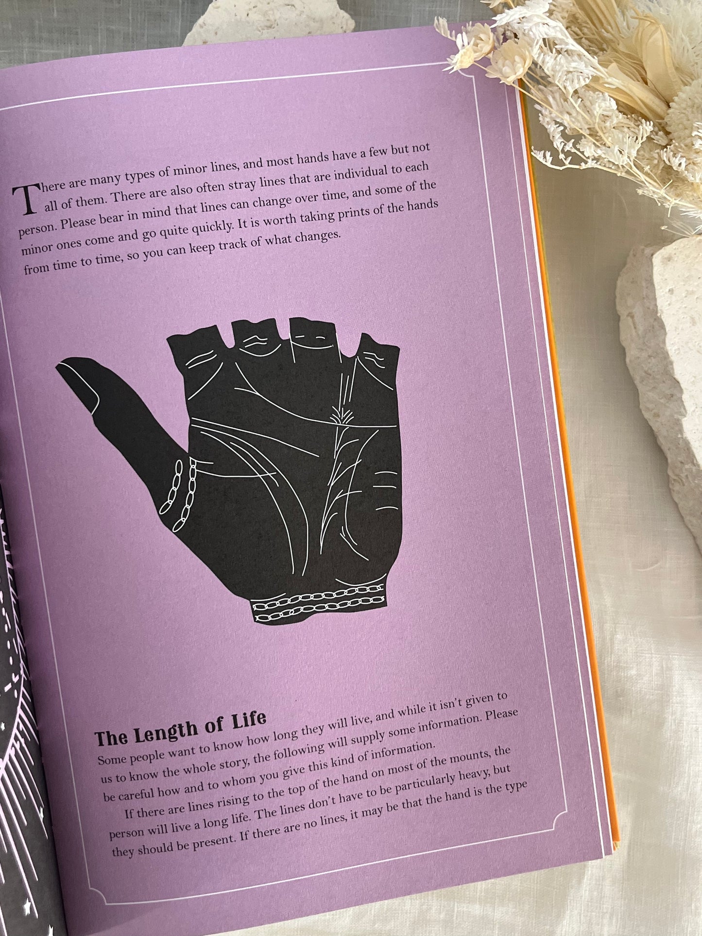 IN FOCUS | PALMISTRY
