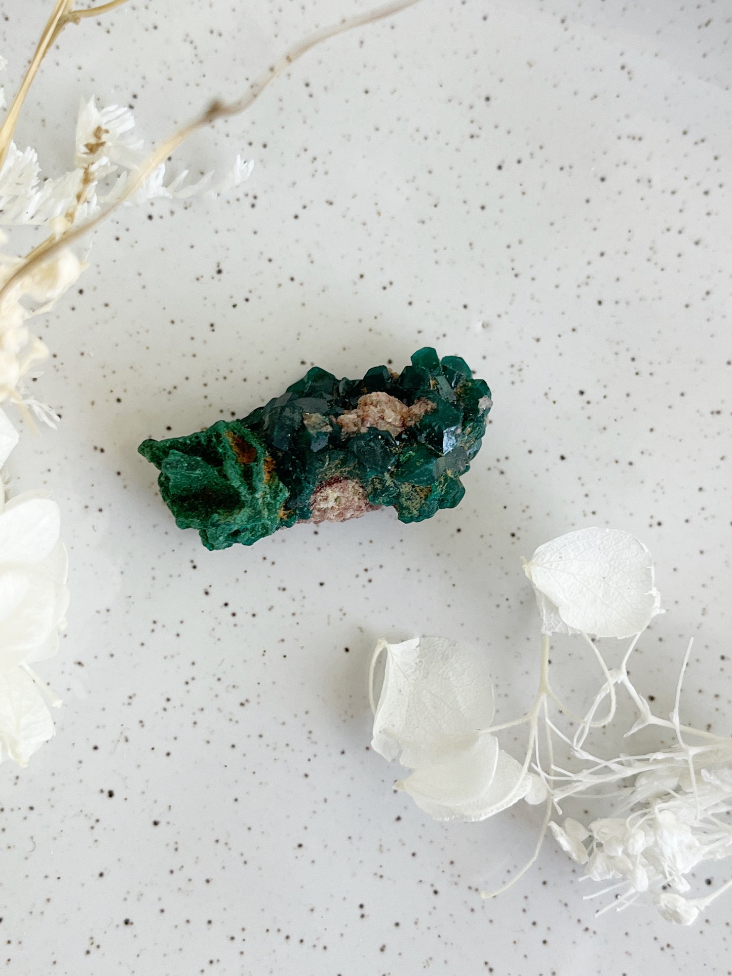 DIOPTASE SPECIMEN || 31594