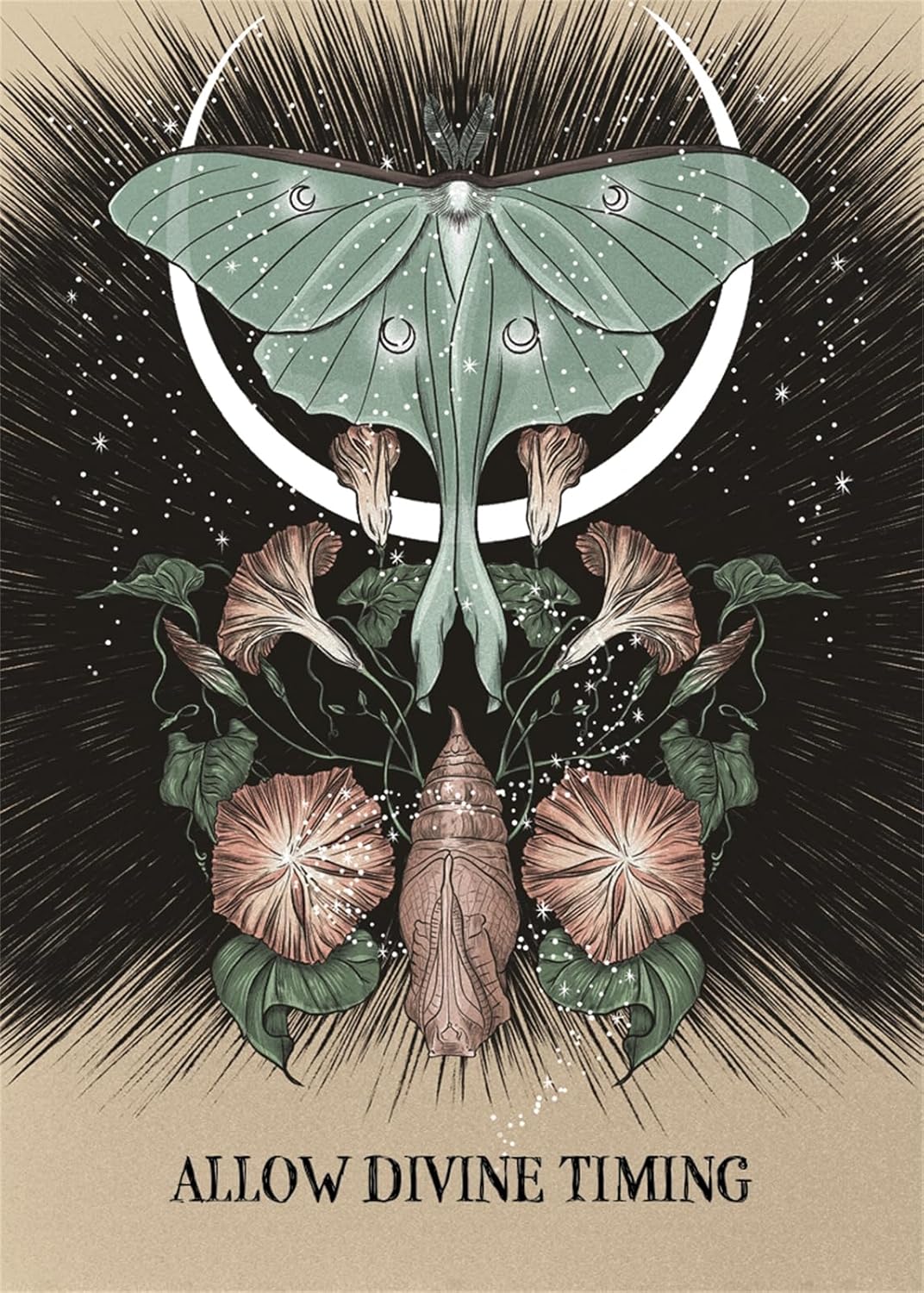 FATED POCKET LOVE ORACLE || ATHENE NOCTUA