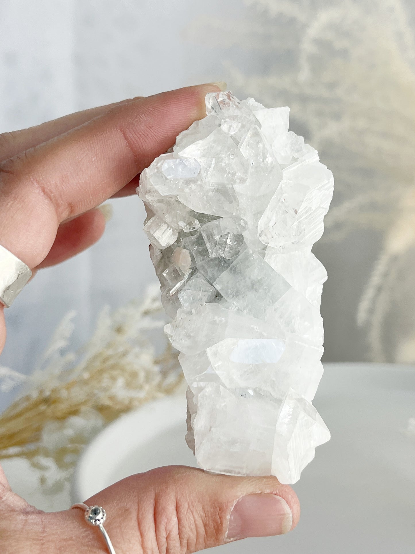 APOPHYLLITE CLUSTER || 32124