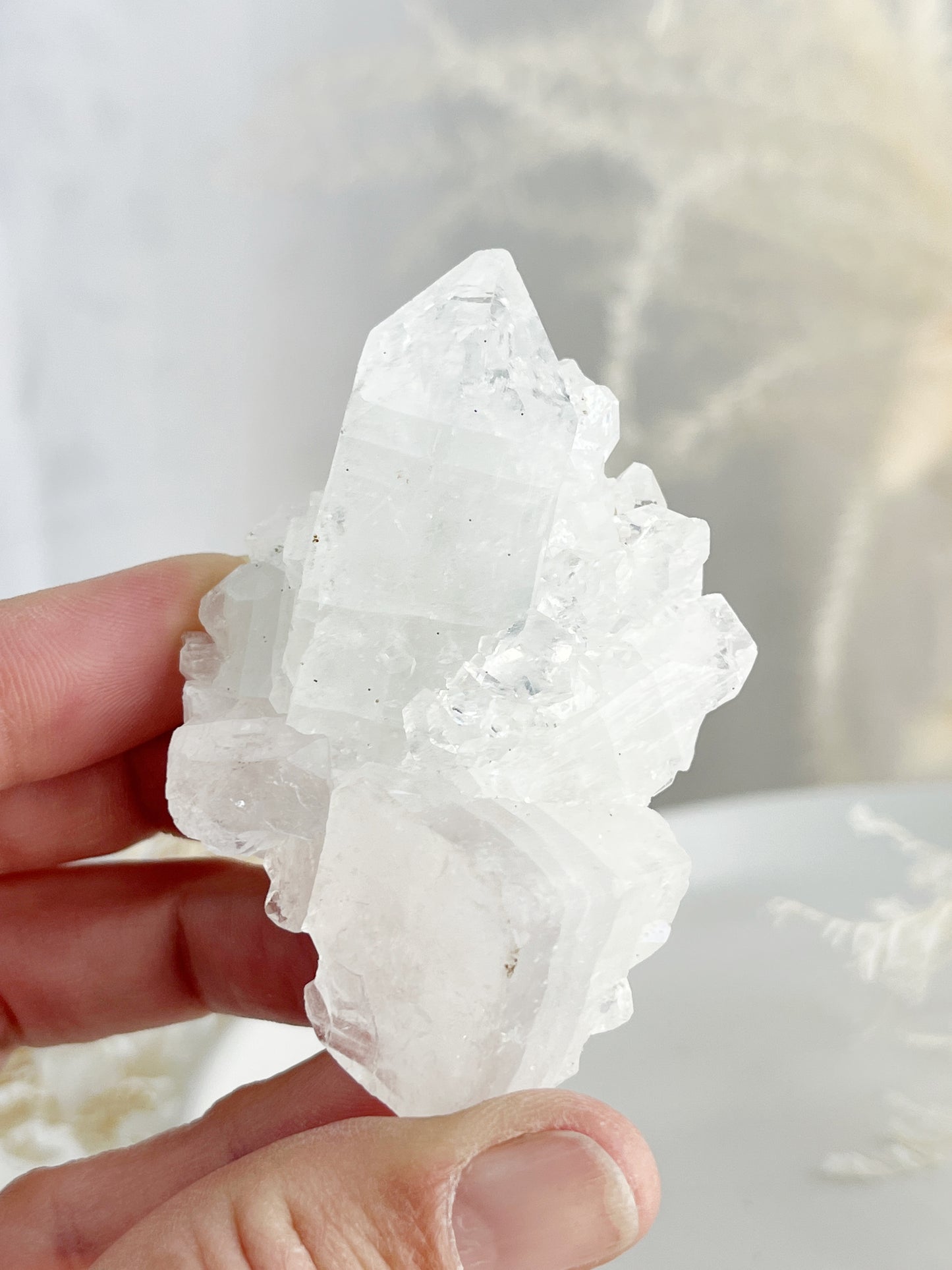 APOPHYLLITE CLUSTER || 32125
