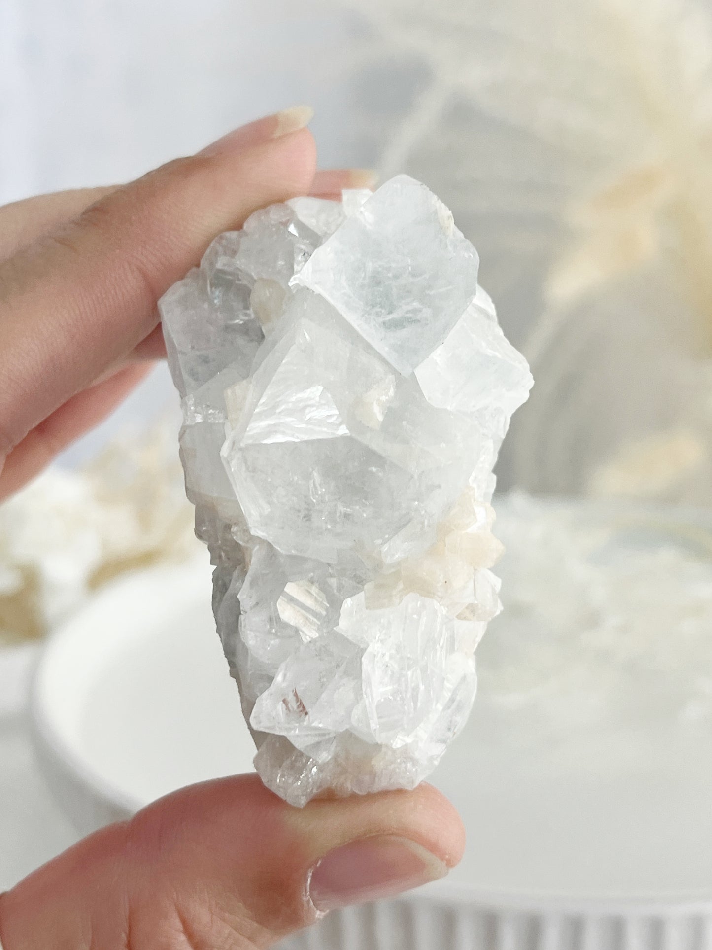 APOPHYLLITE + STILBITE CLUSTER || 32138