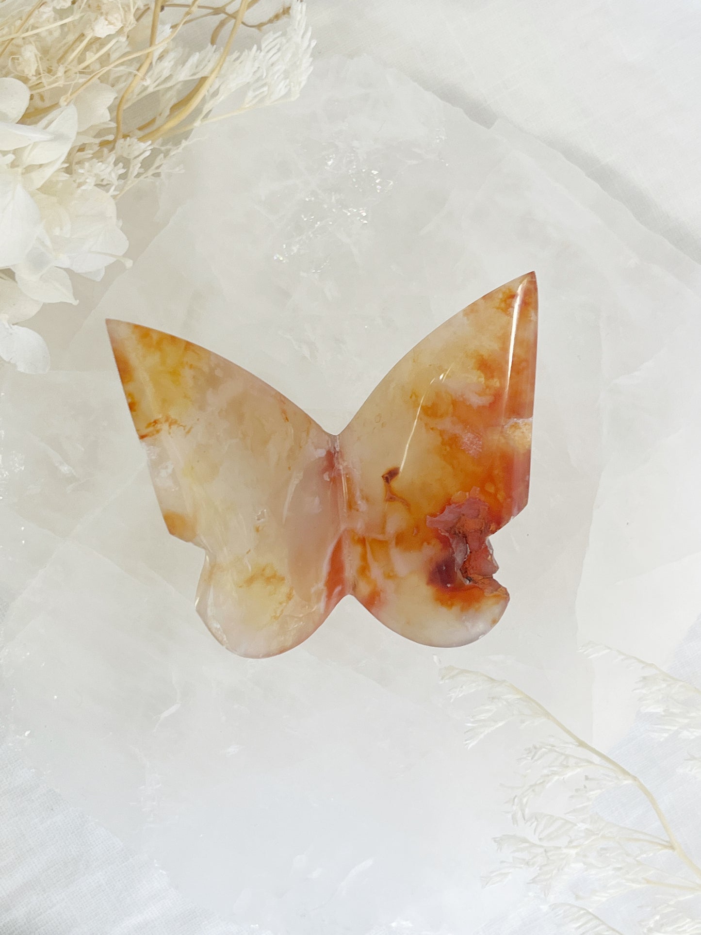 carnelian 3d butterfly australia crystals stoned and saged