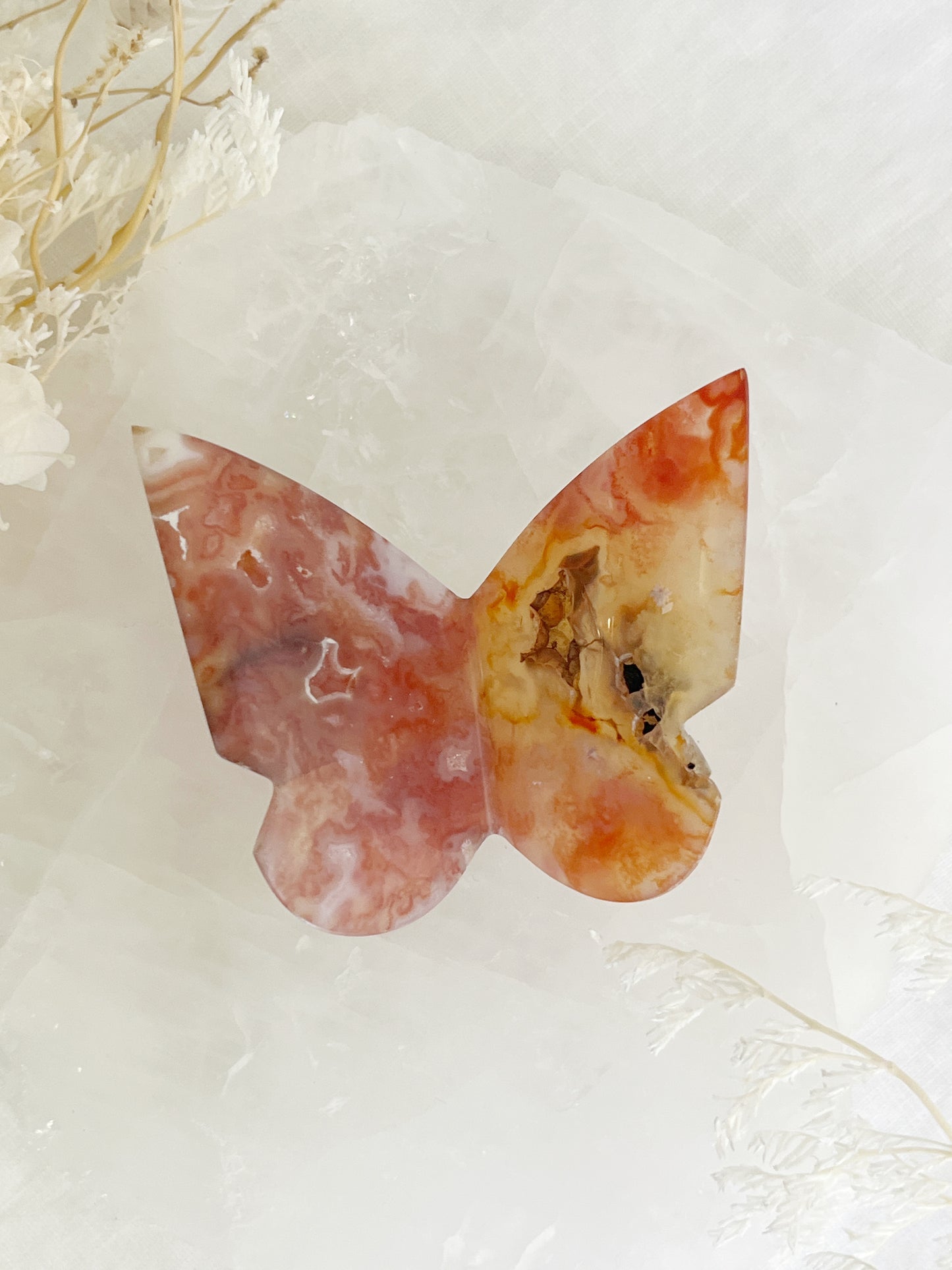 carnelian 3d butterfly australia crystals stoned and saged