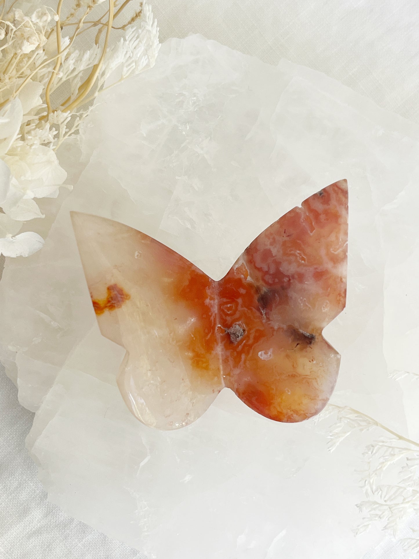 carnelian 3d butterfly australia crystals stoned and saged