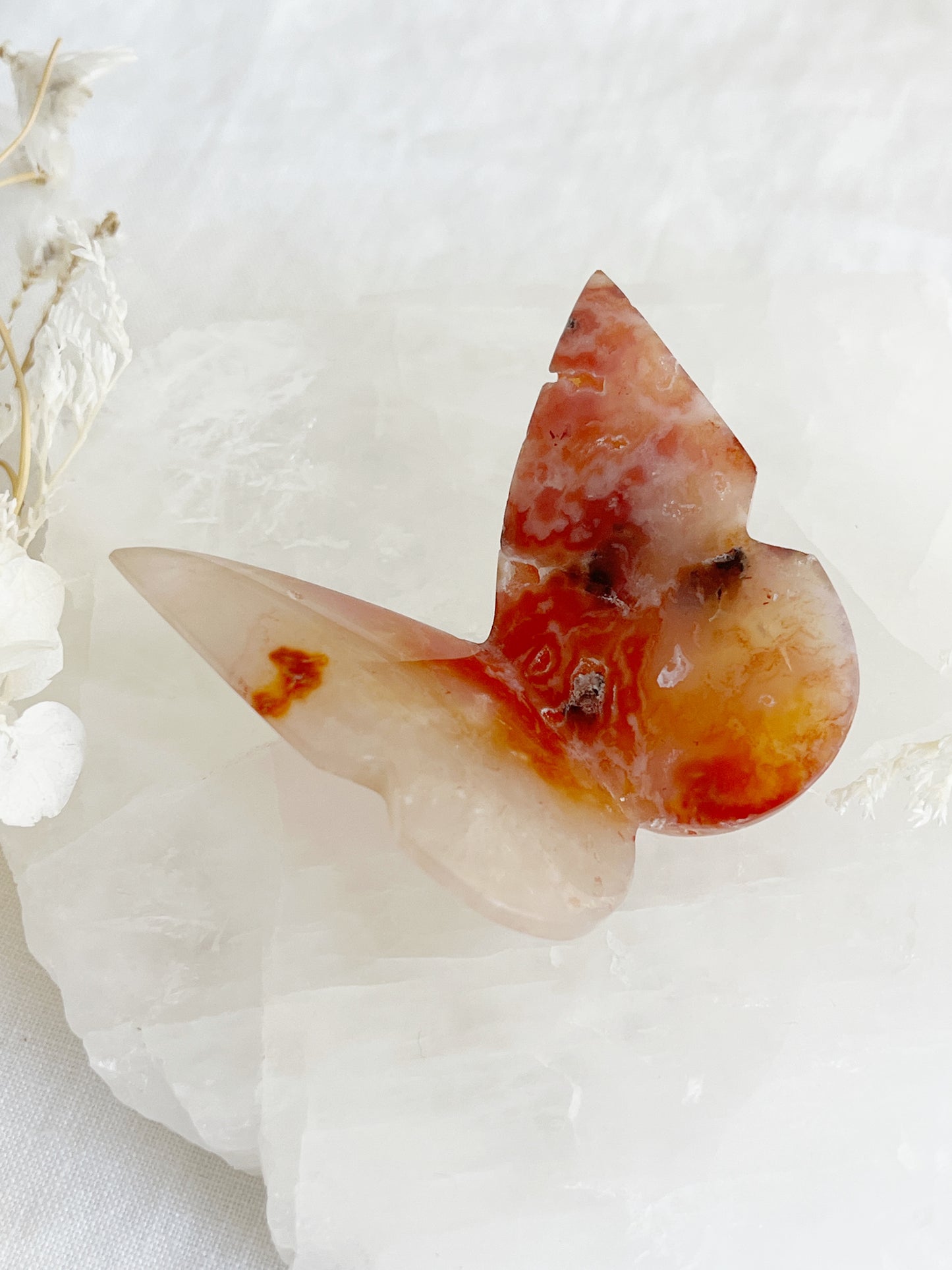 CARNELIAN 3D BUTTERFLY || 32153