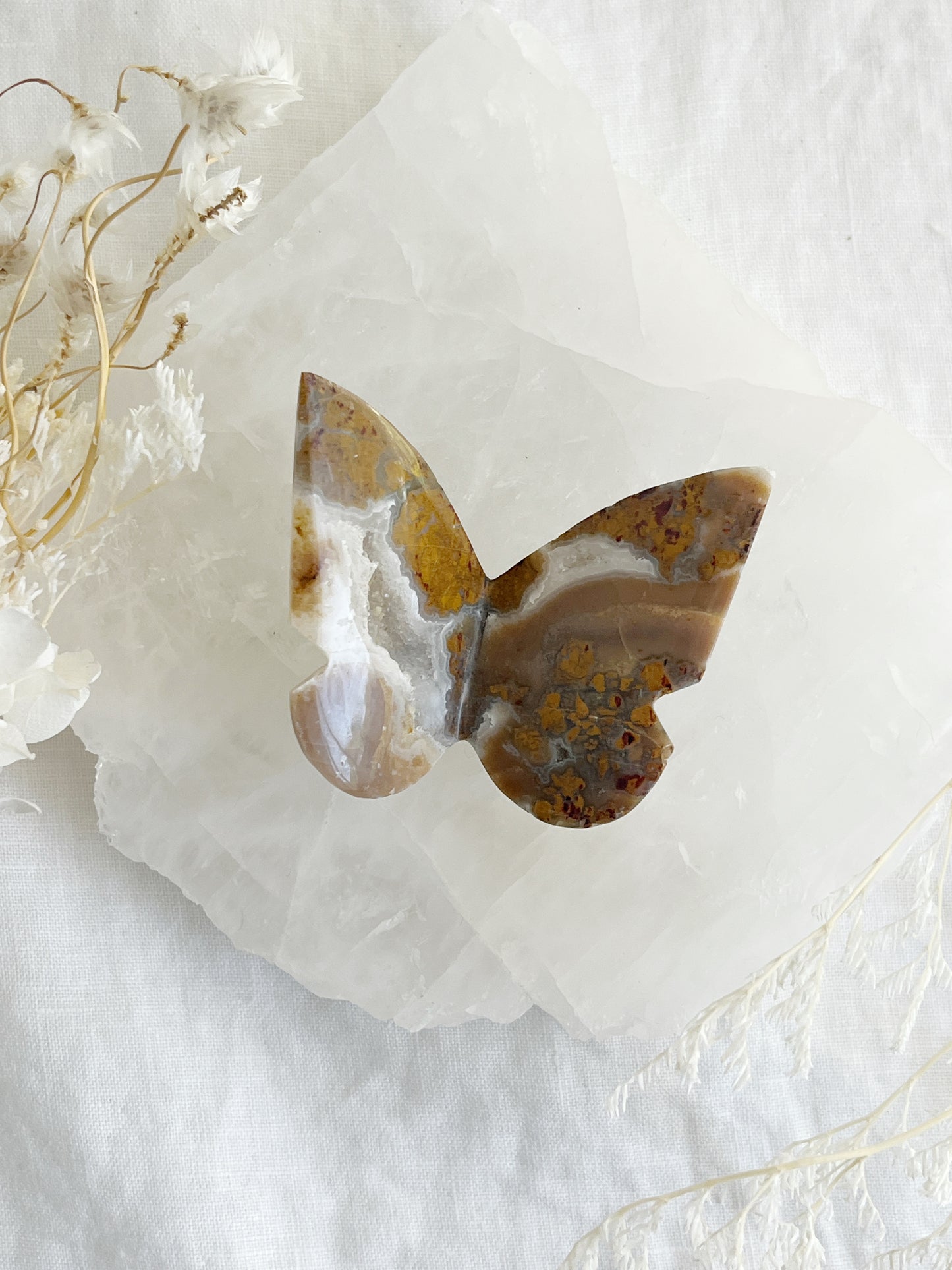 BROWN BRECCIATED JASPER 3D BUTTERFLY || 32154