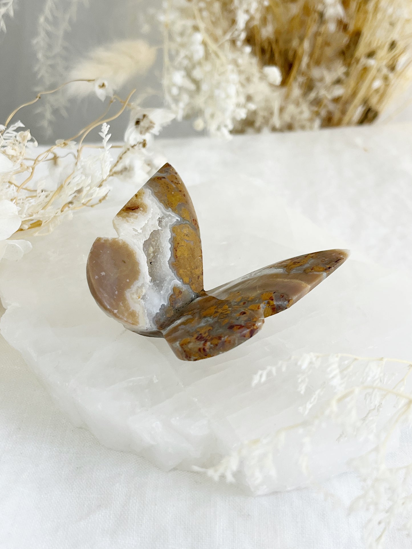 BROWN BRECCIATED JASPER 3D BUTTERFLY || 32154