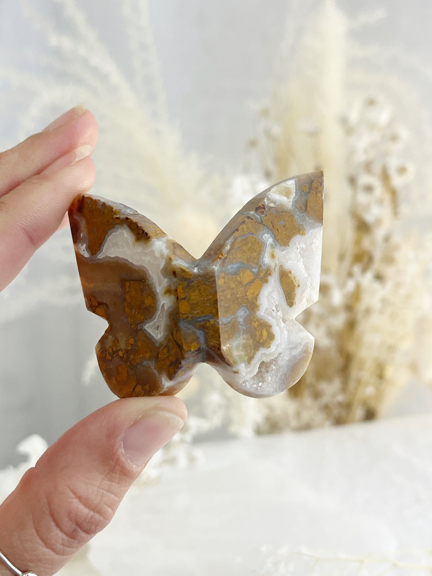 BROWN BRECCIATED JASPER 3D BUTTERFLY || 32154