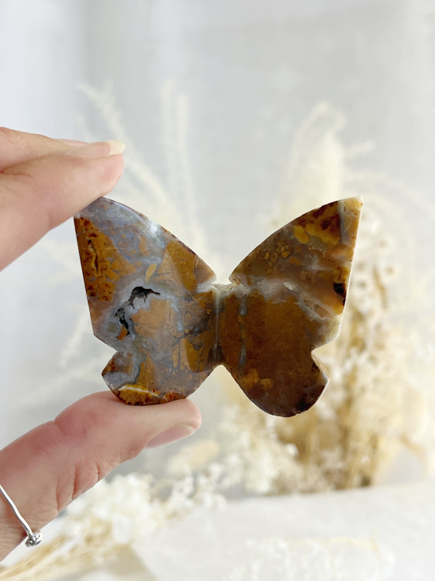BROWN BRECCIATED JASPER 3D BUTTERFLY || 32158