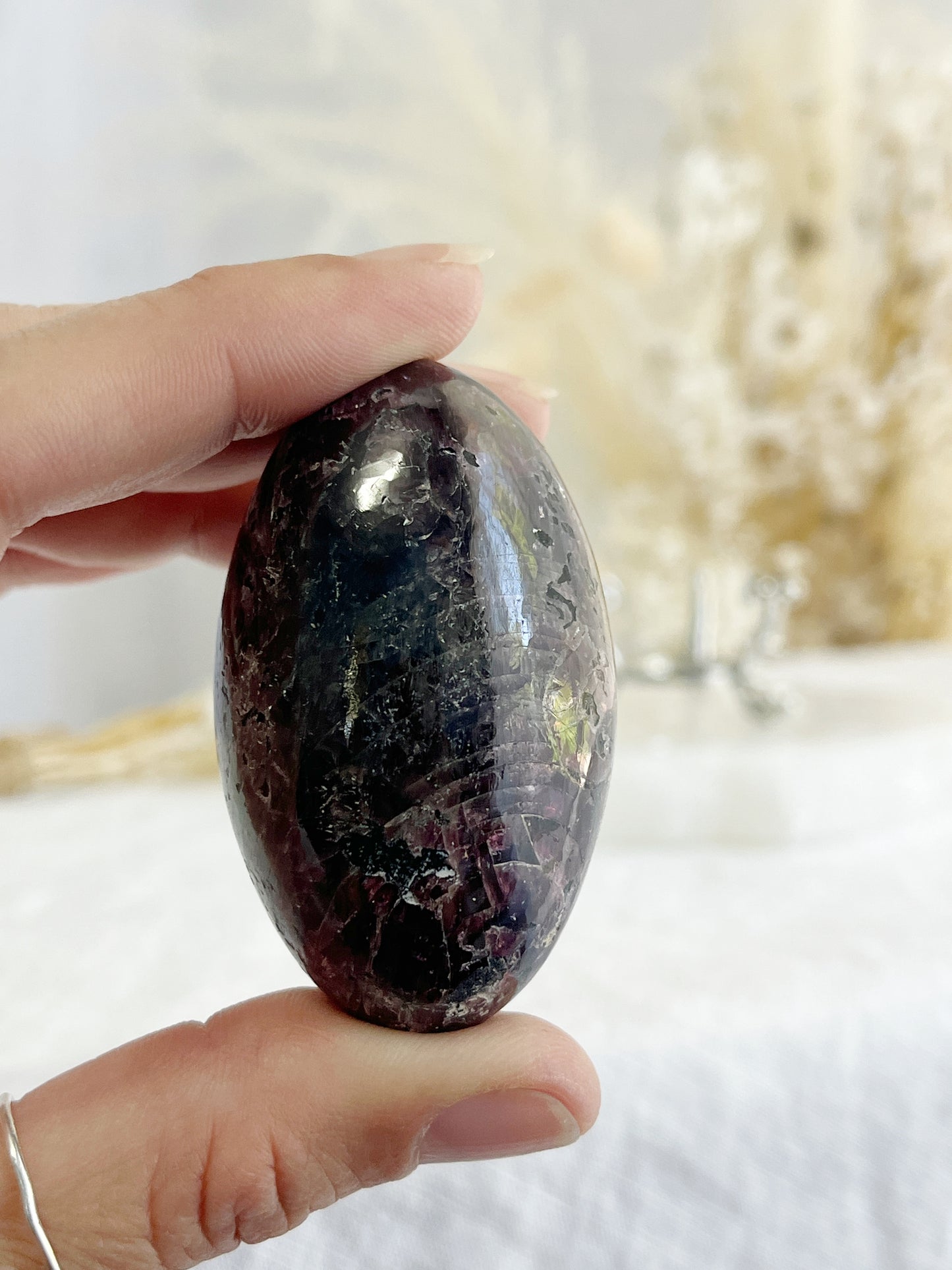GARNET LINGHAM || 32161