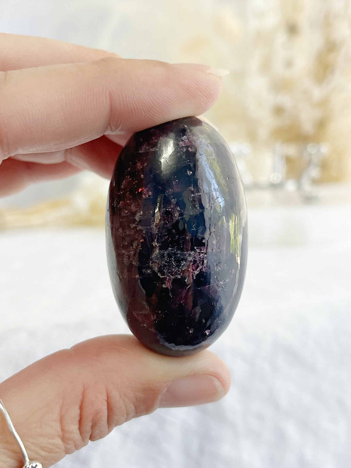 GARNET LINGHAM || 32162