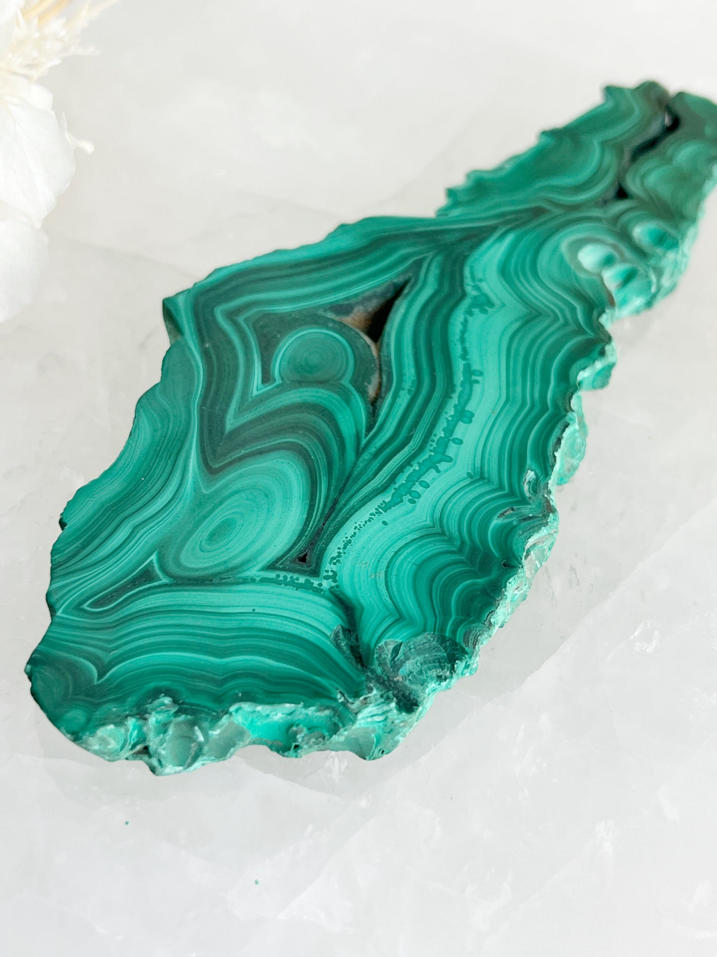 MALACHITE SLICE || 32224
