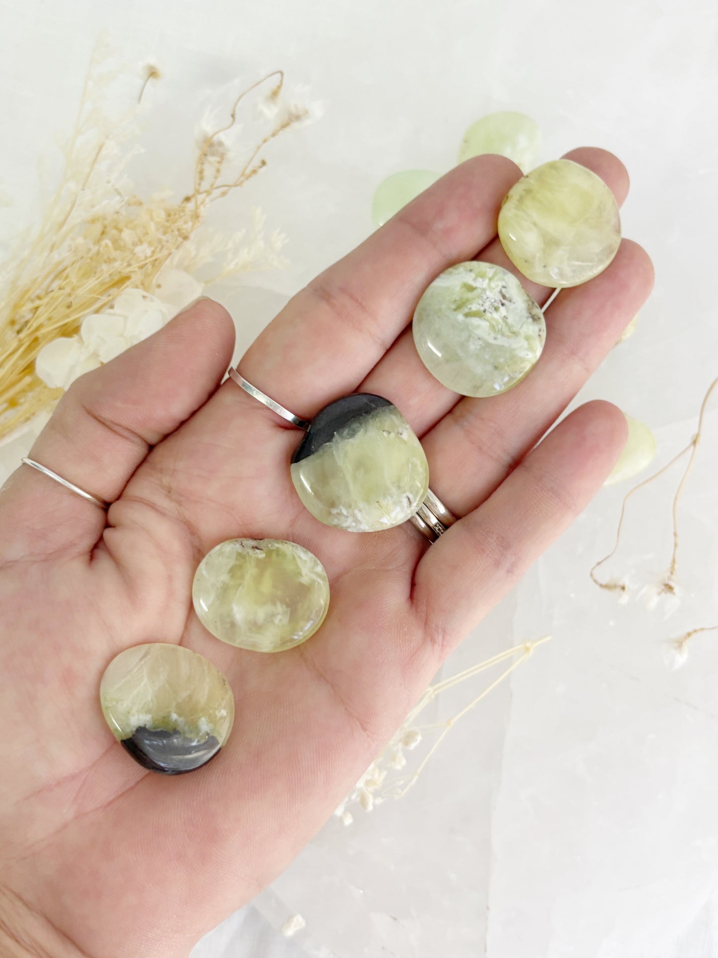 PREHNITE MINI FLATSTONE || INTUITIVELY CHOSEN