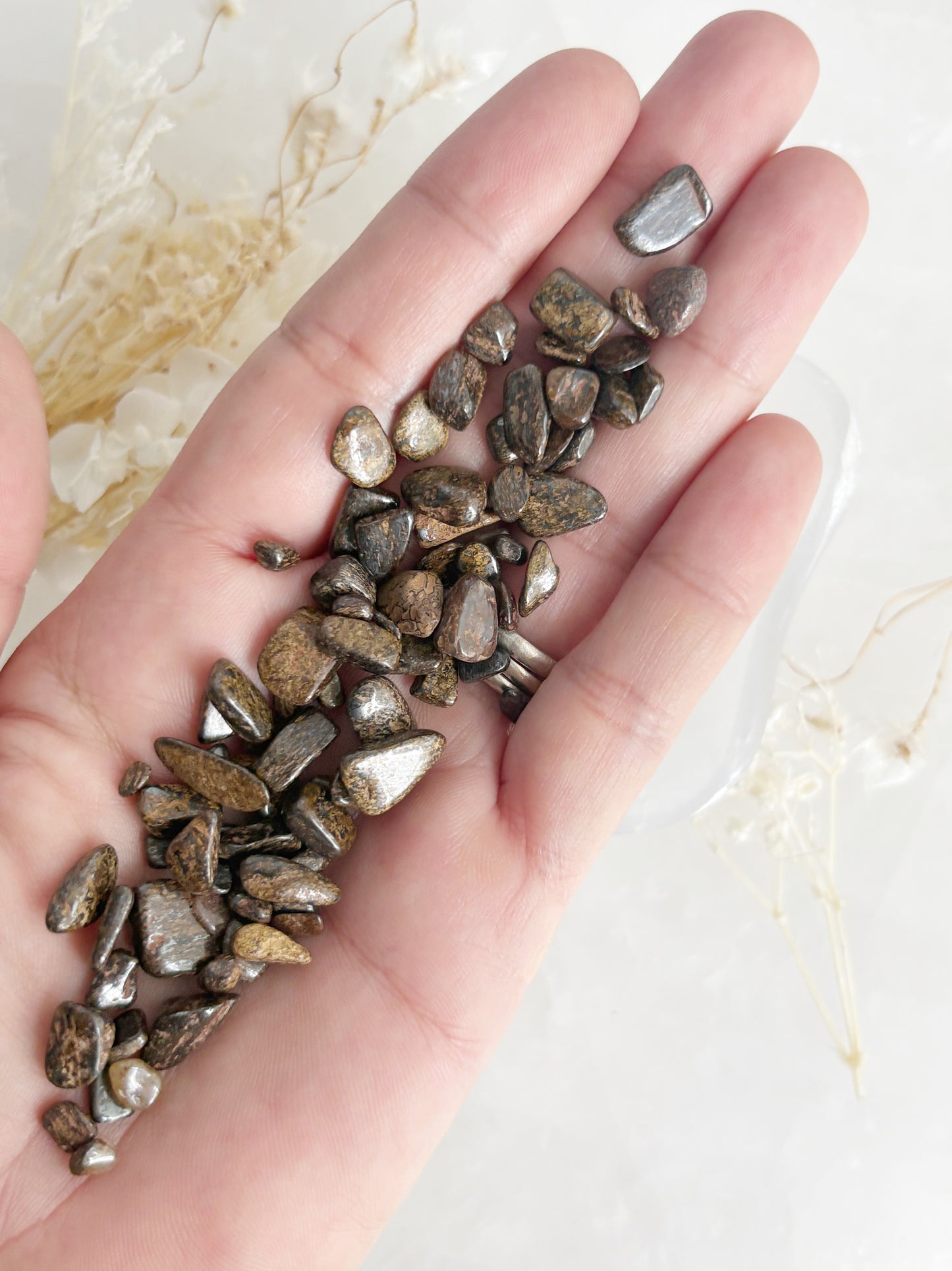 BRONZITE CHIPS || 100G