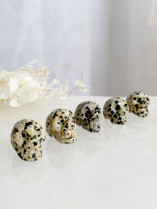 DALMATIAN JASPER MINI SKULL || INTUITIVELY CHOSEN