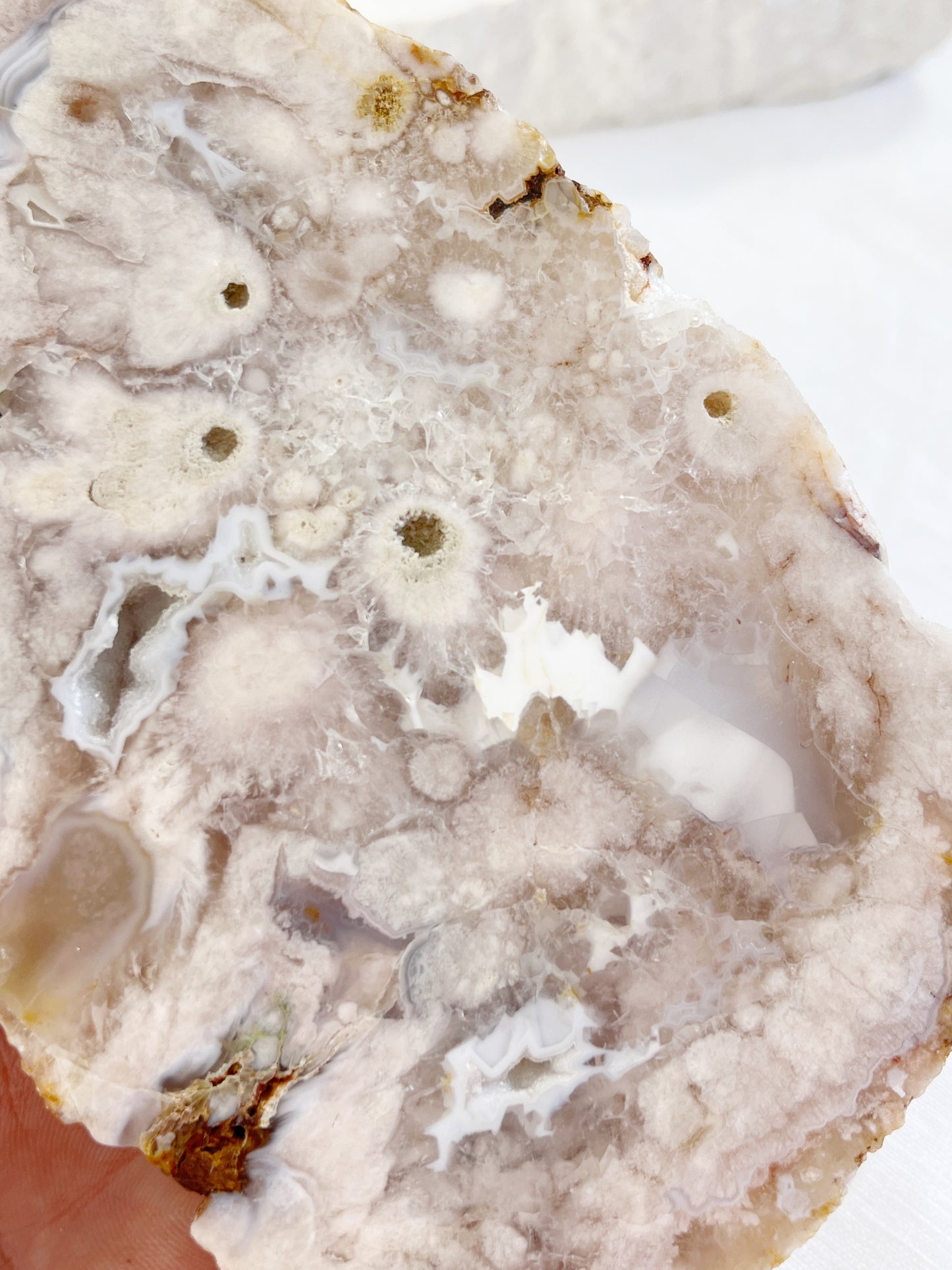 FLOWER AGATE SLAB | 004
