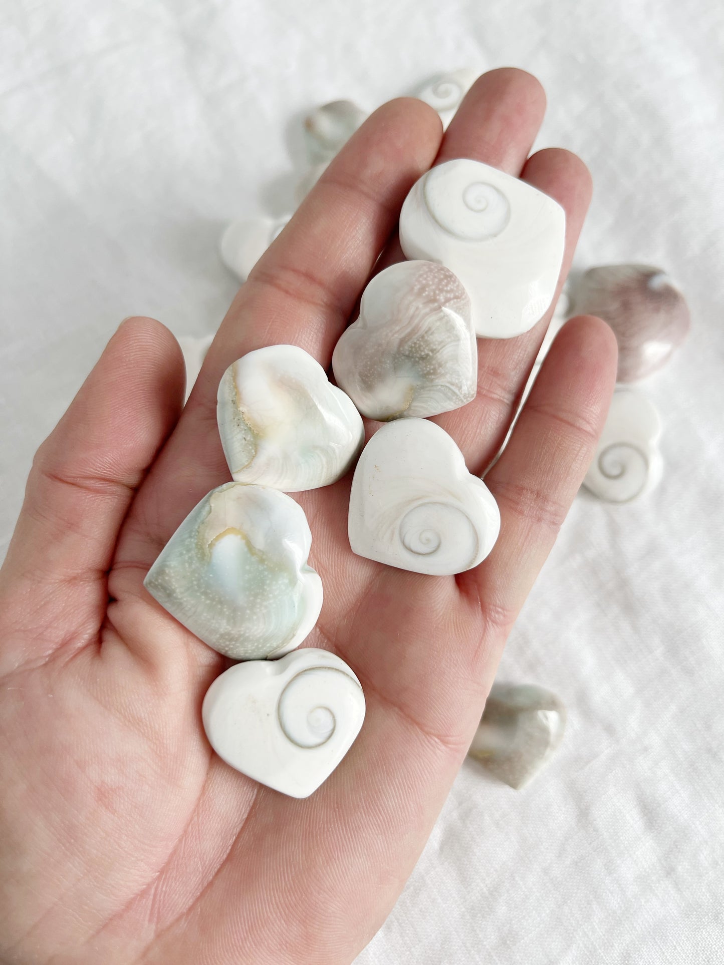 SHIVA EYE SHELL HEART | INTUITIVELY CHOSEN