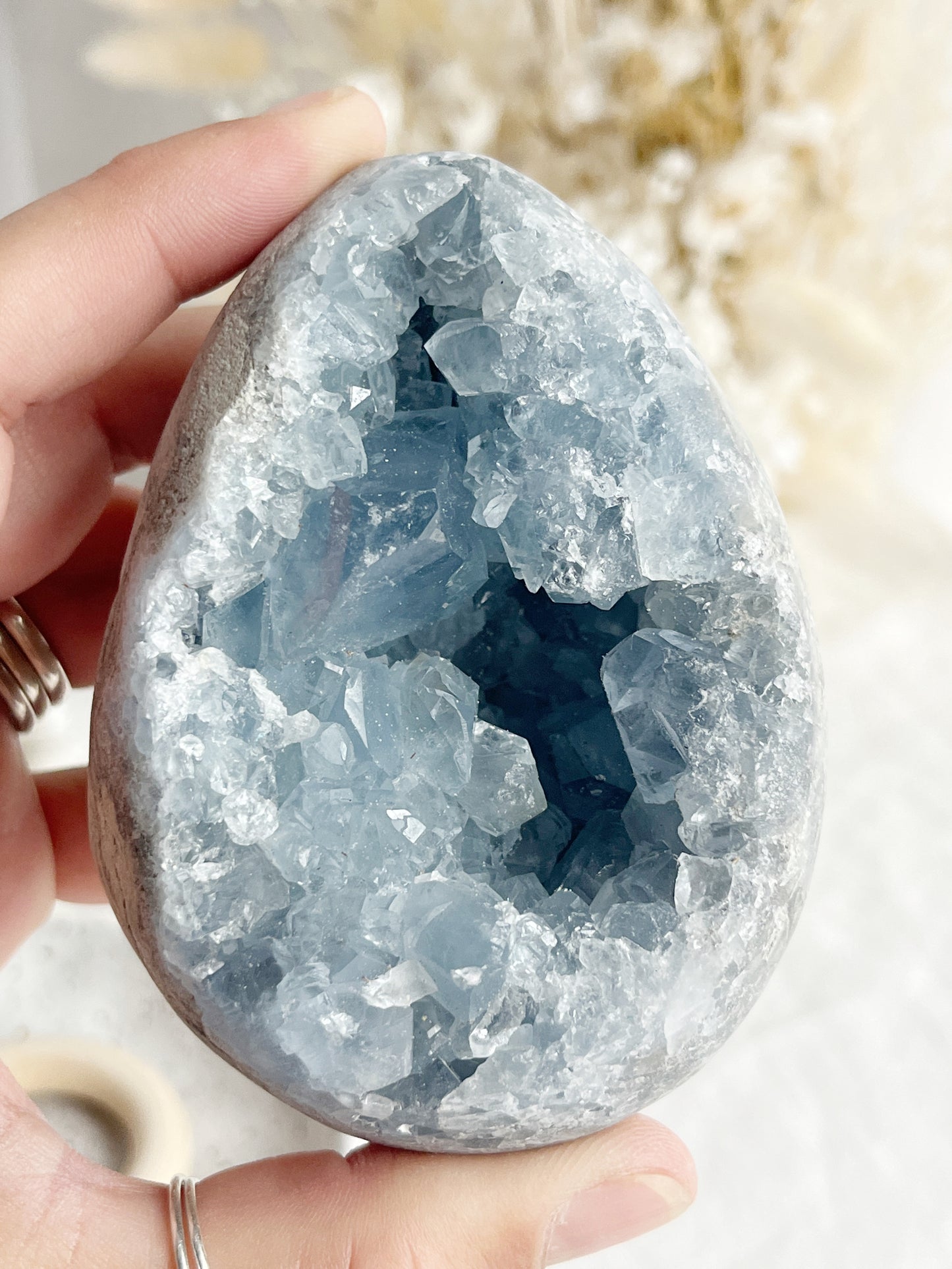 CELESTITE CLUSTER EGG || 31508