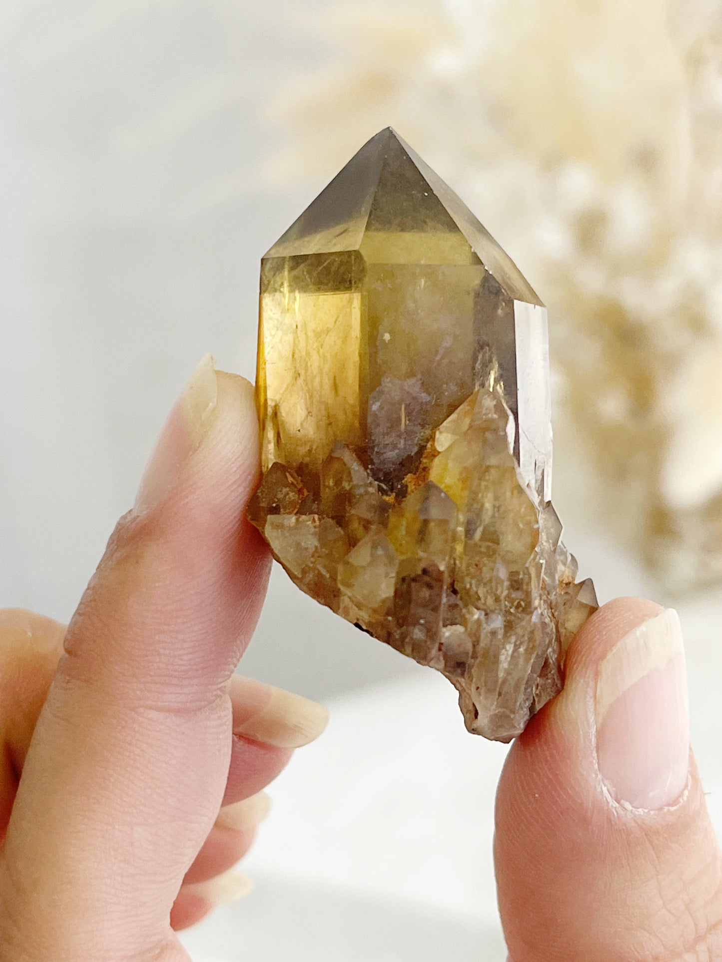 NATURAL CITRINE POINT || 31571