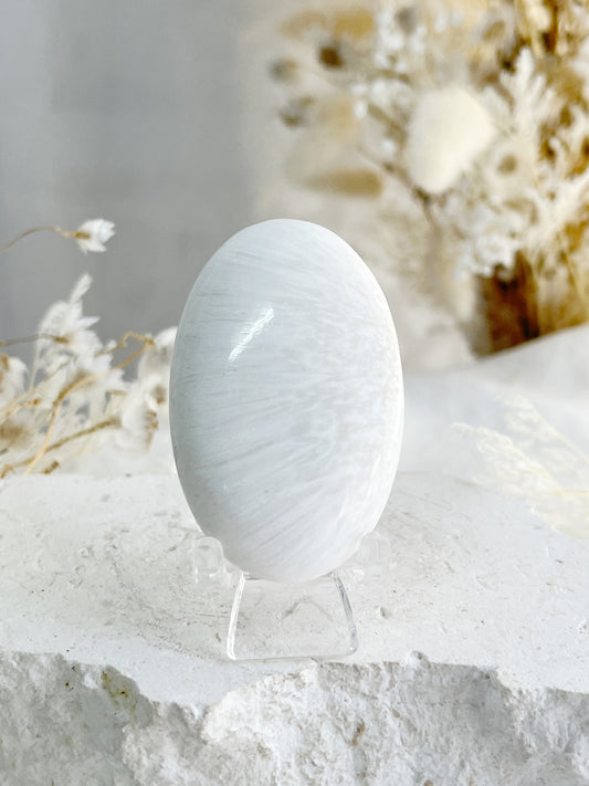 SCOLECITE PALMSTONE || 31621