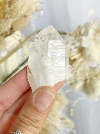 COLOMBIAN LEMURIAN POINT | 101890