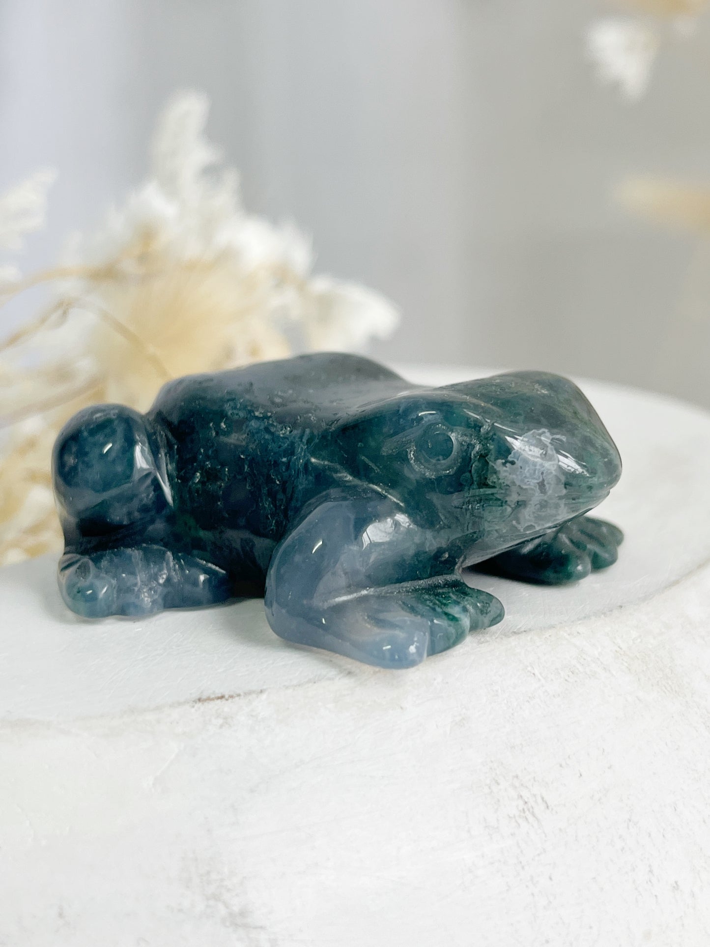 MOSS AGATE FROG || 31523