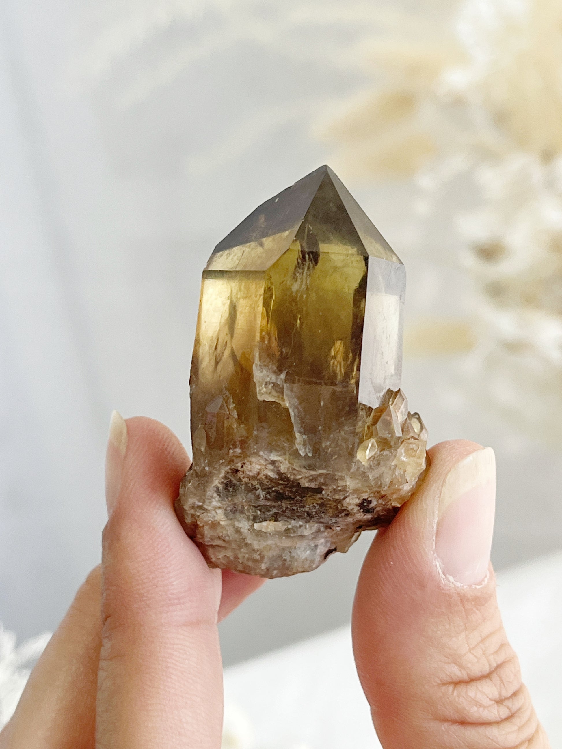 NATURAL CITRINE POINT, 31571, STONED AND SAGED AUSTRALIA